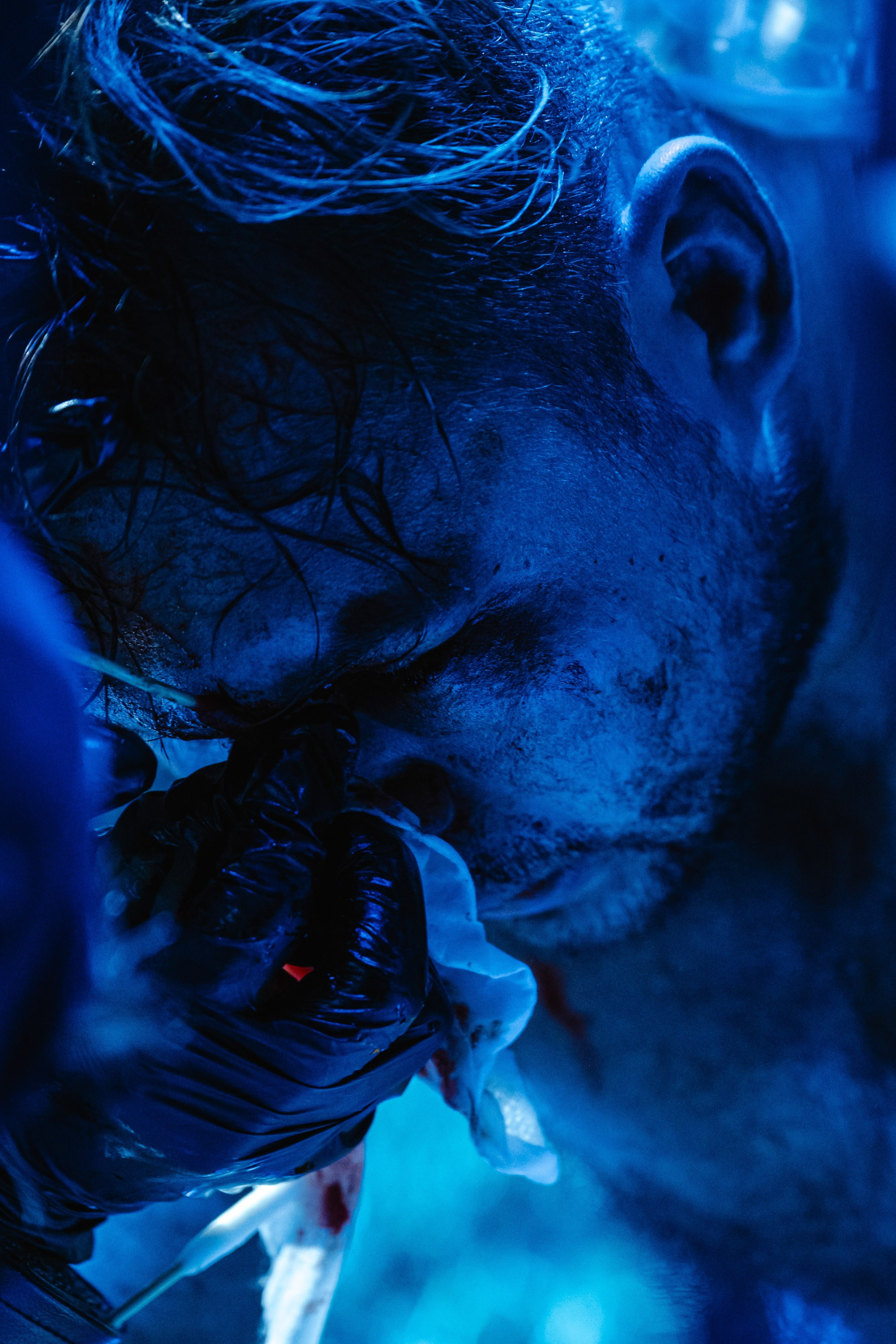 TOP DOG 2. Максим Комаров — Профессиональный фотограф