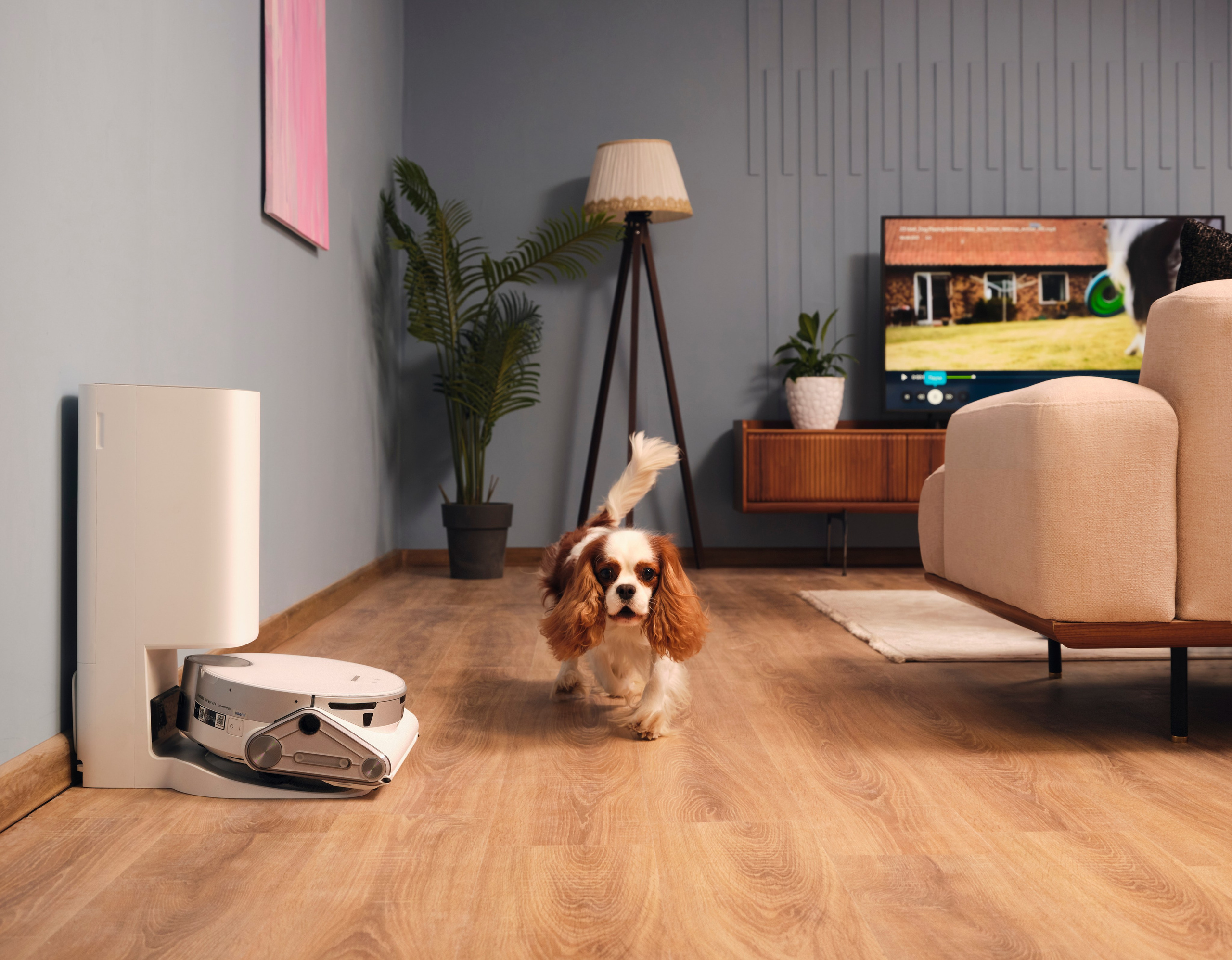 Commercial. Photographer