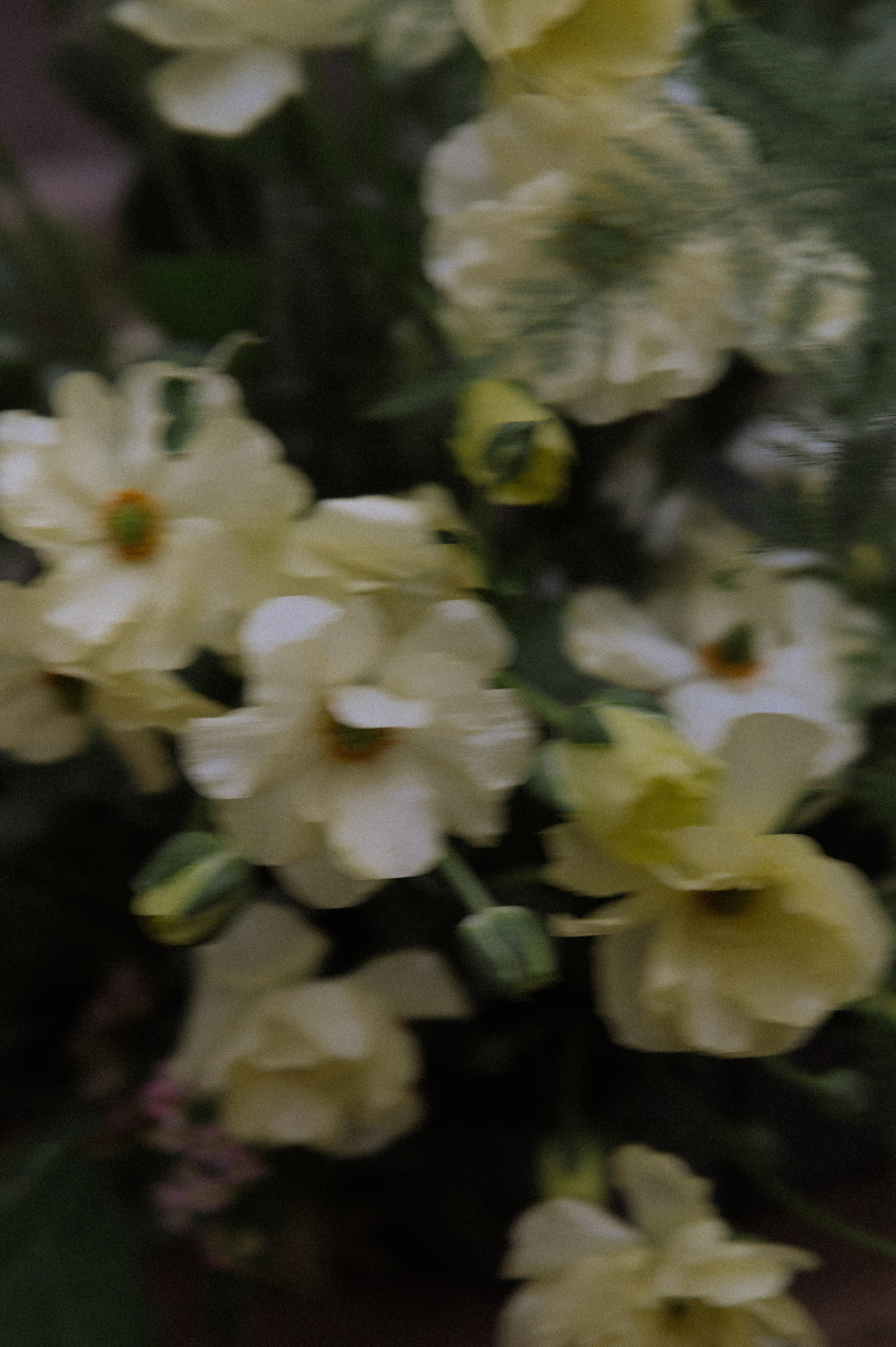 F&M. Свадебный и семейный фотограф в Ростове-на-Дону Ирина Цой