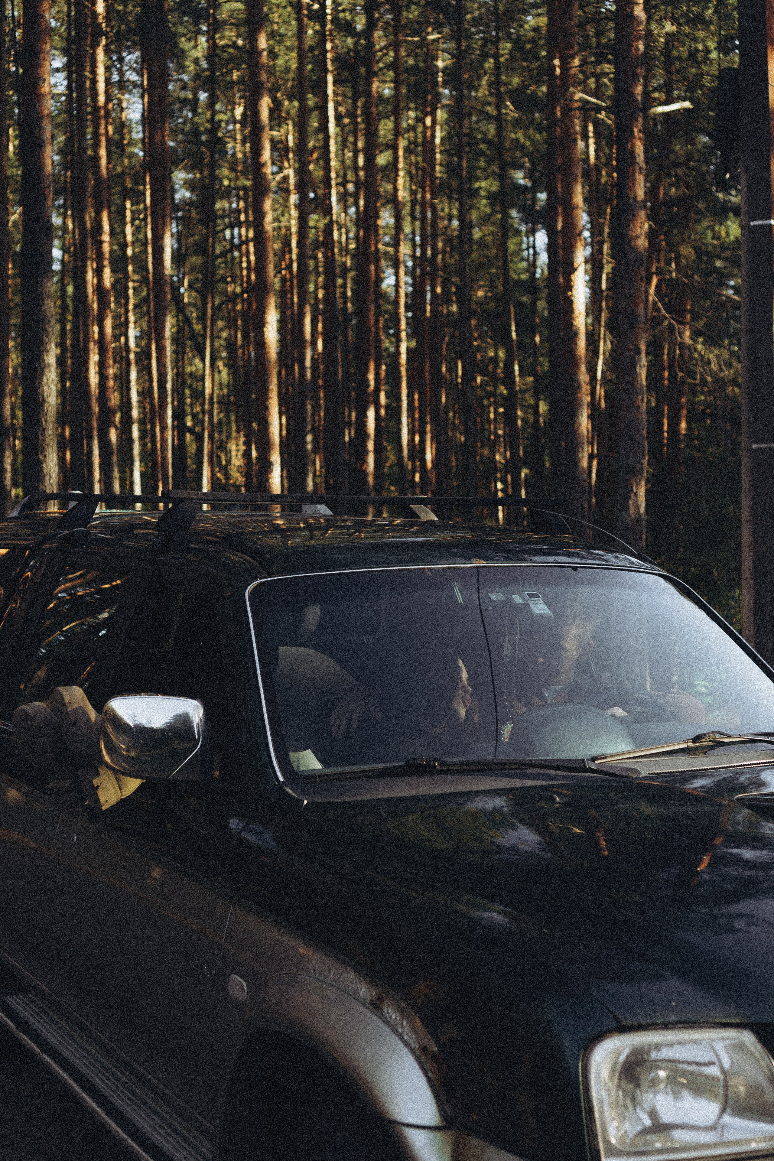 Прогулка по Финскому заливу. Профессиональный фотограф, Санкт-Петербург — Виктория Богомолова