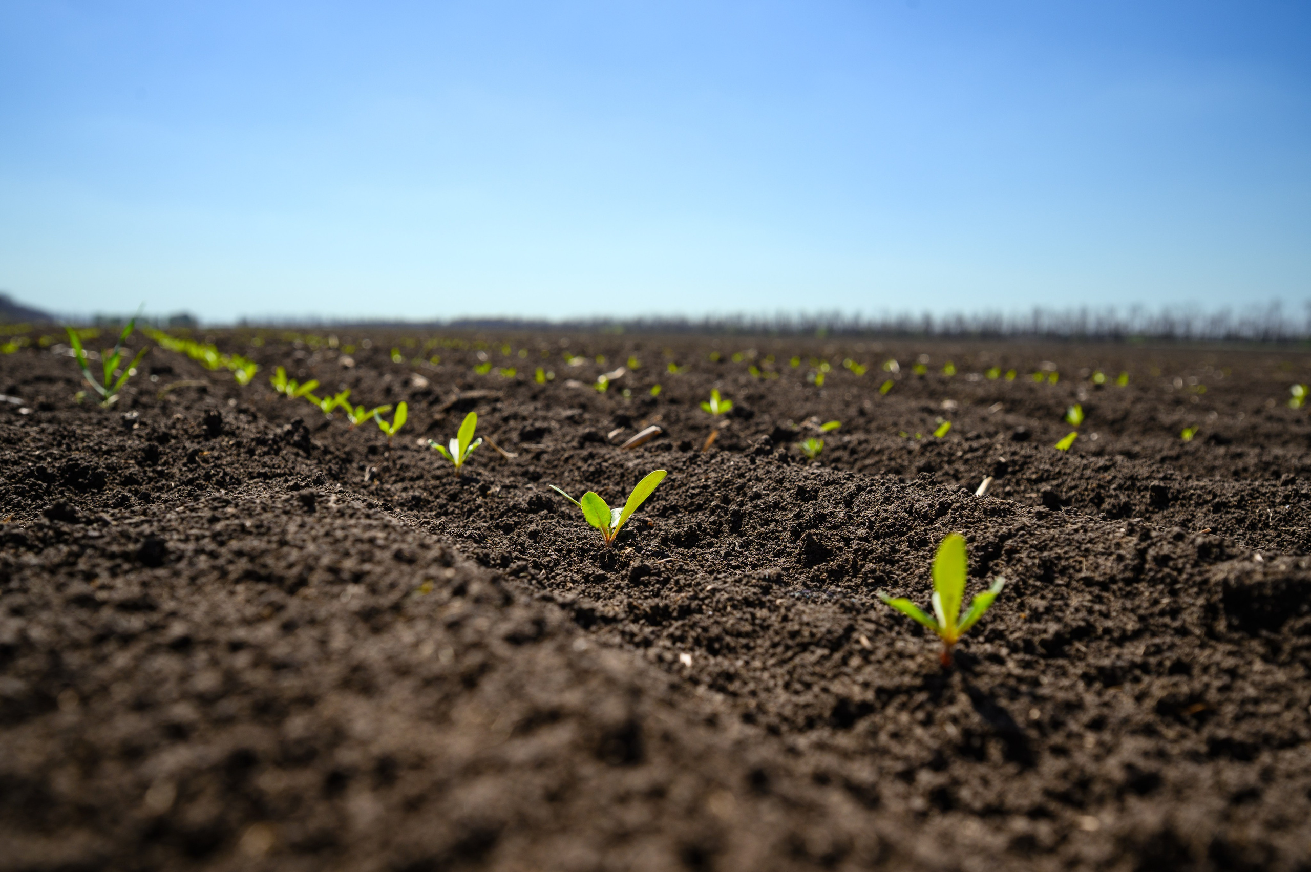 Проекты. Профессиональный фотограф Вячеслав Плацында | Липецк |