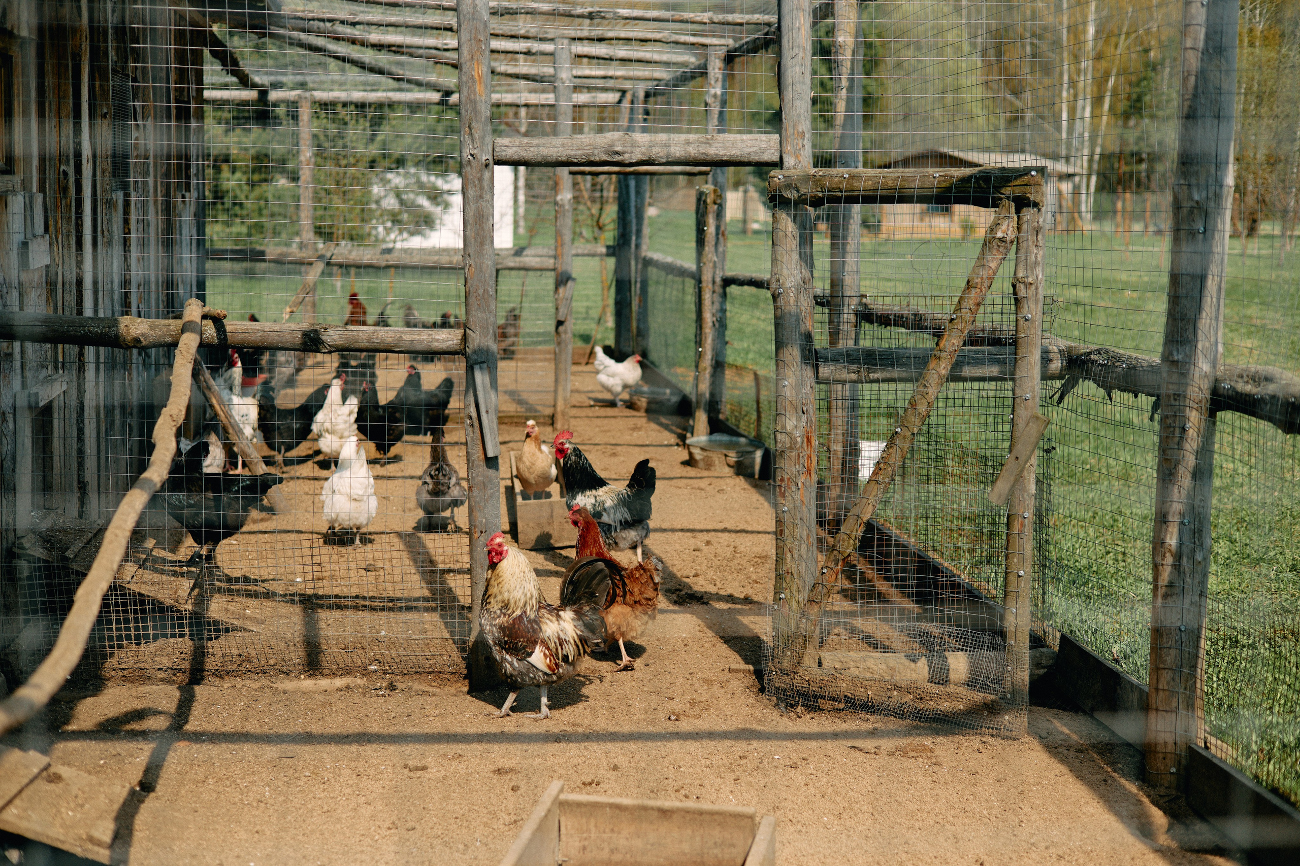 Бутик-отель Поле летом. Профессиональный Фотограф во Владимире, в Москве и в Суздале — Полина Романычева