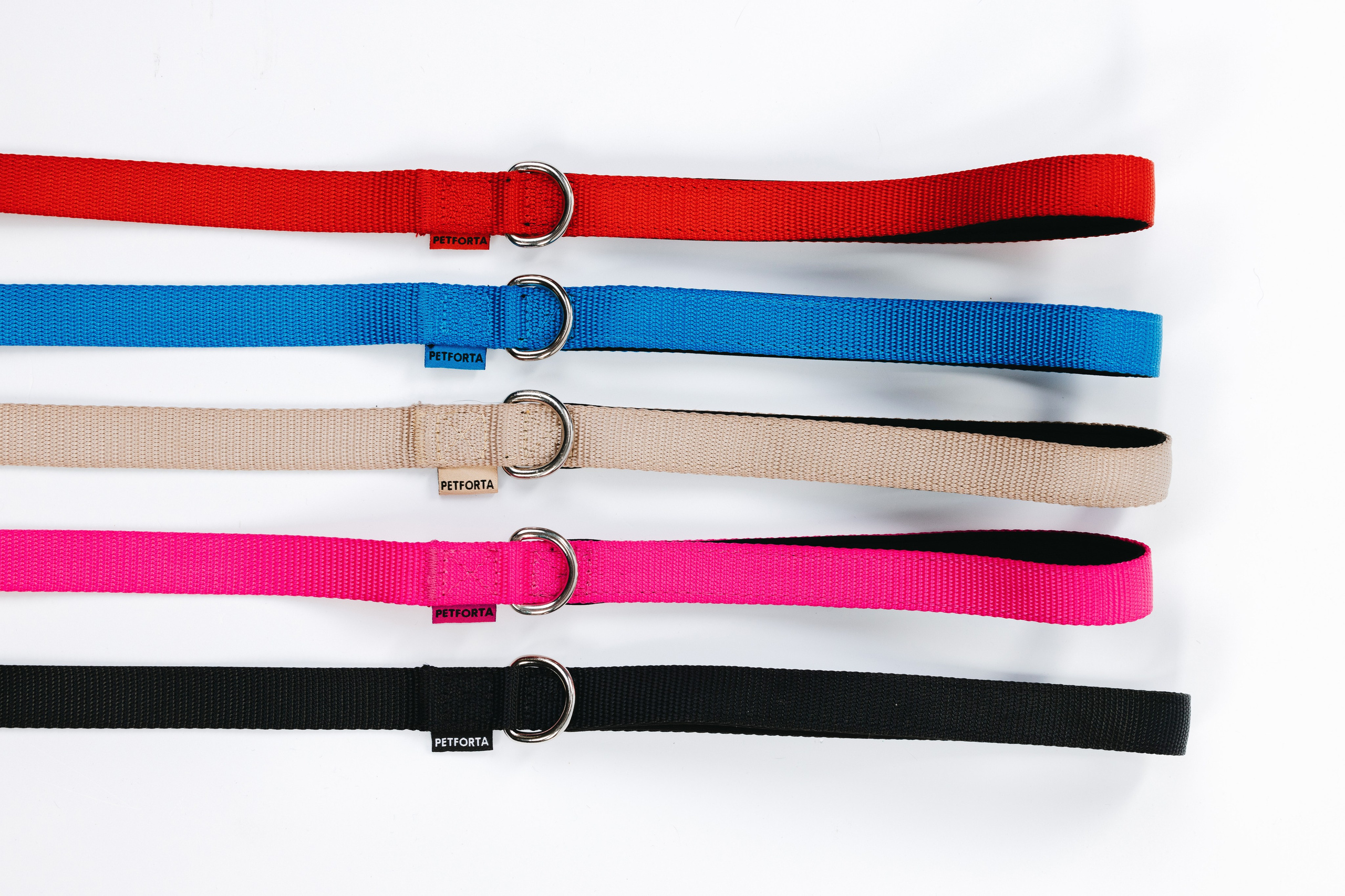 Шлейки Petforta. Фотограф анималист Осипчикова Мария