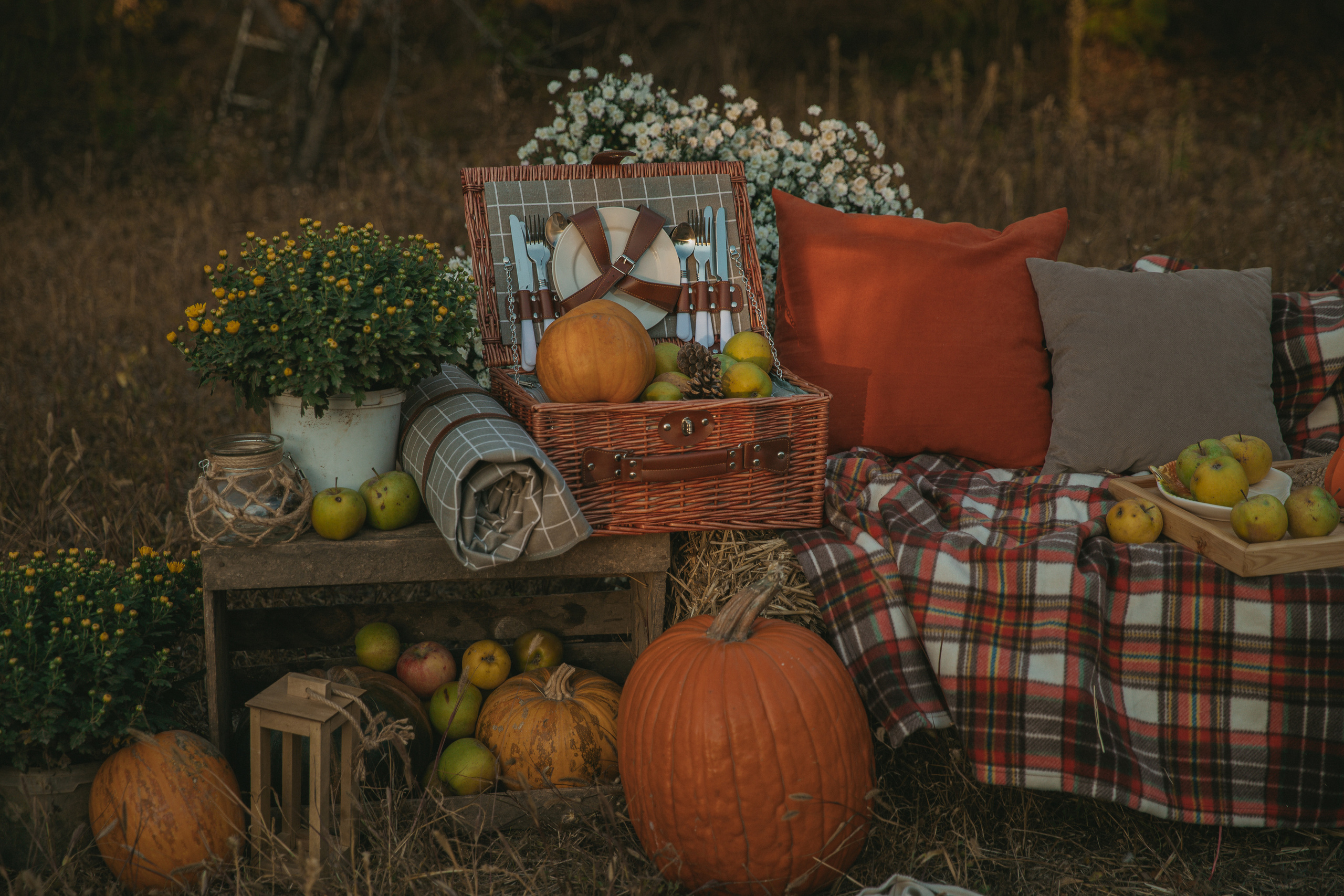 Фотодень ''Золотая осень'' 22 октября