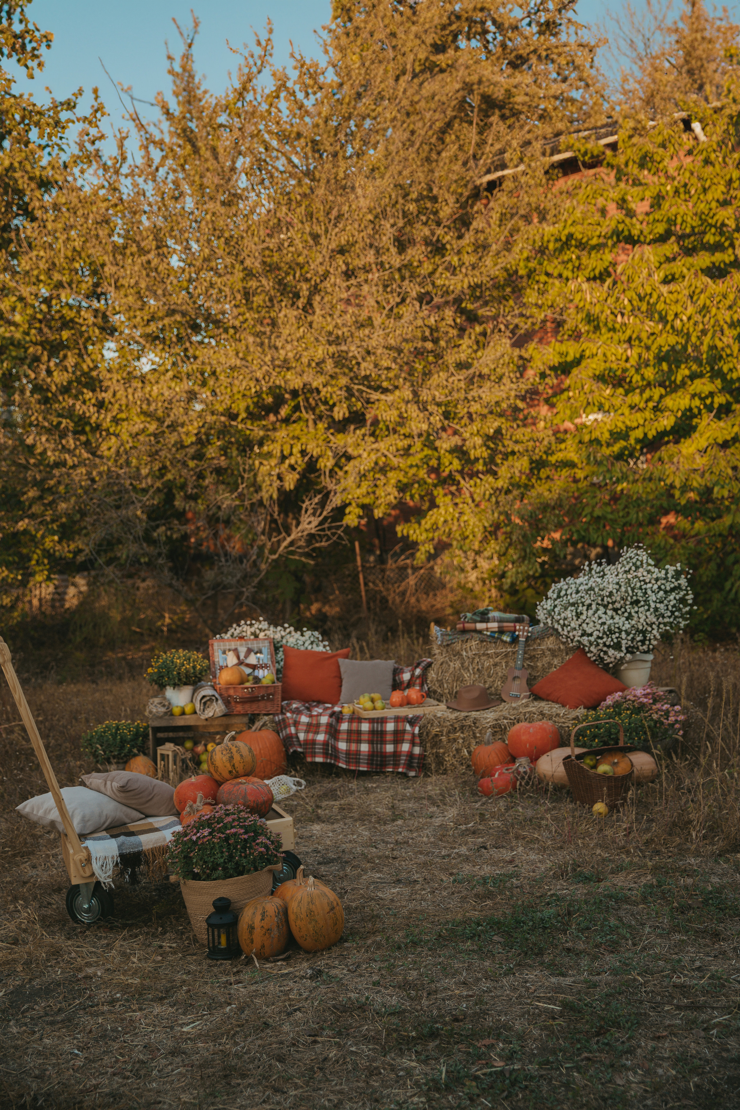 Фотодень ''Золотая осень'' 22 октября