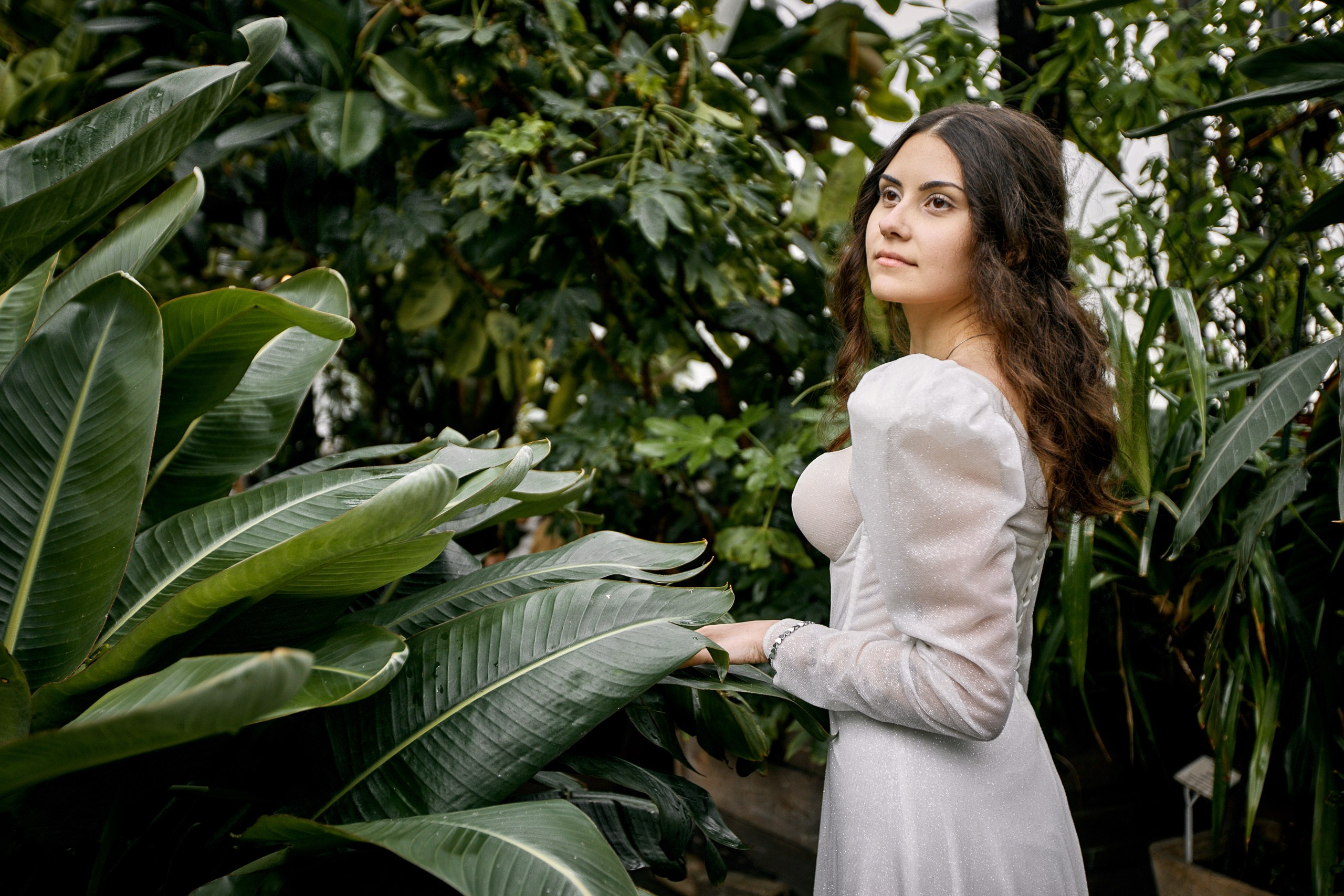 Свадьбы. Главная