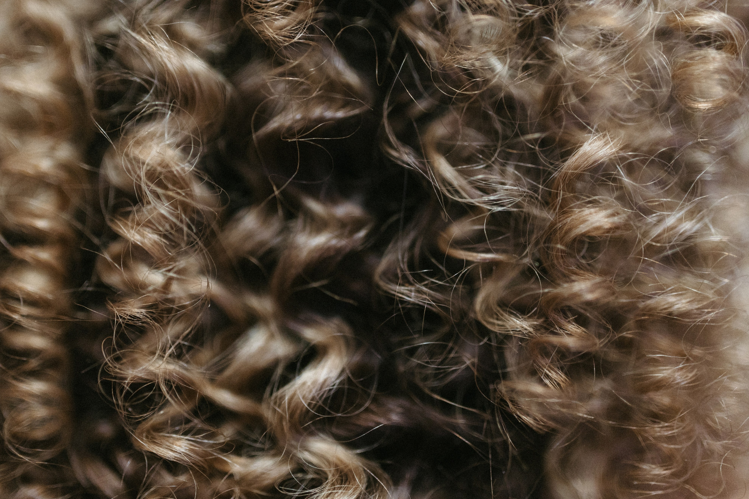 ТШБ. Свадебный фотограф в Москве Николай Болт