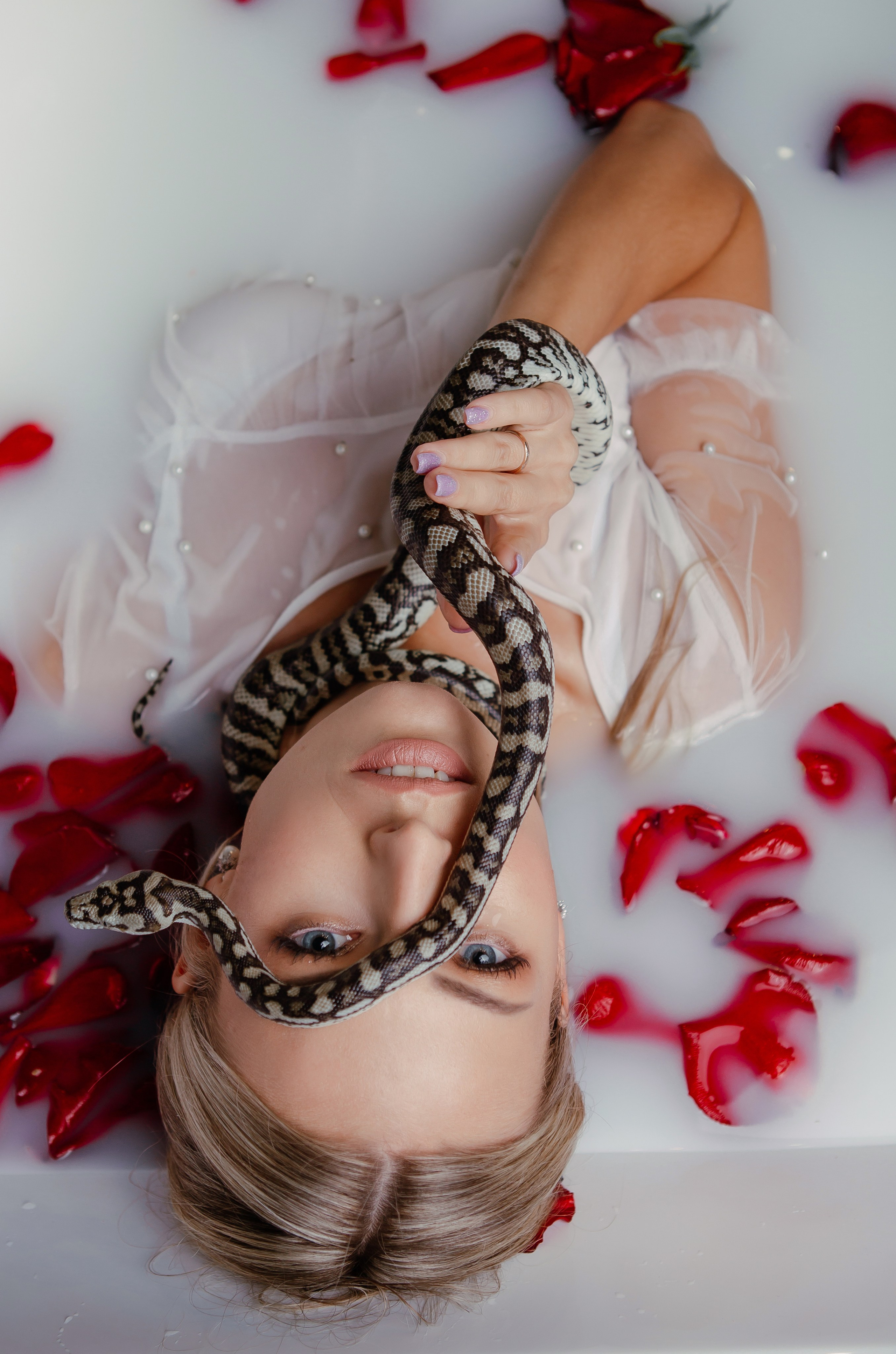 Змеи. Фотограф Новороссийск