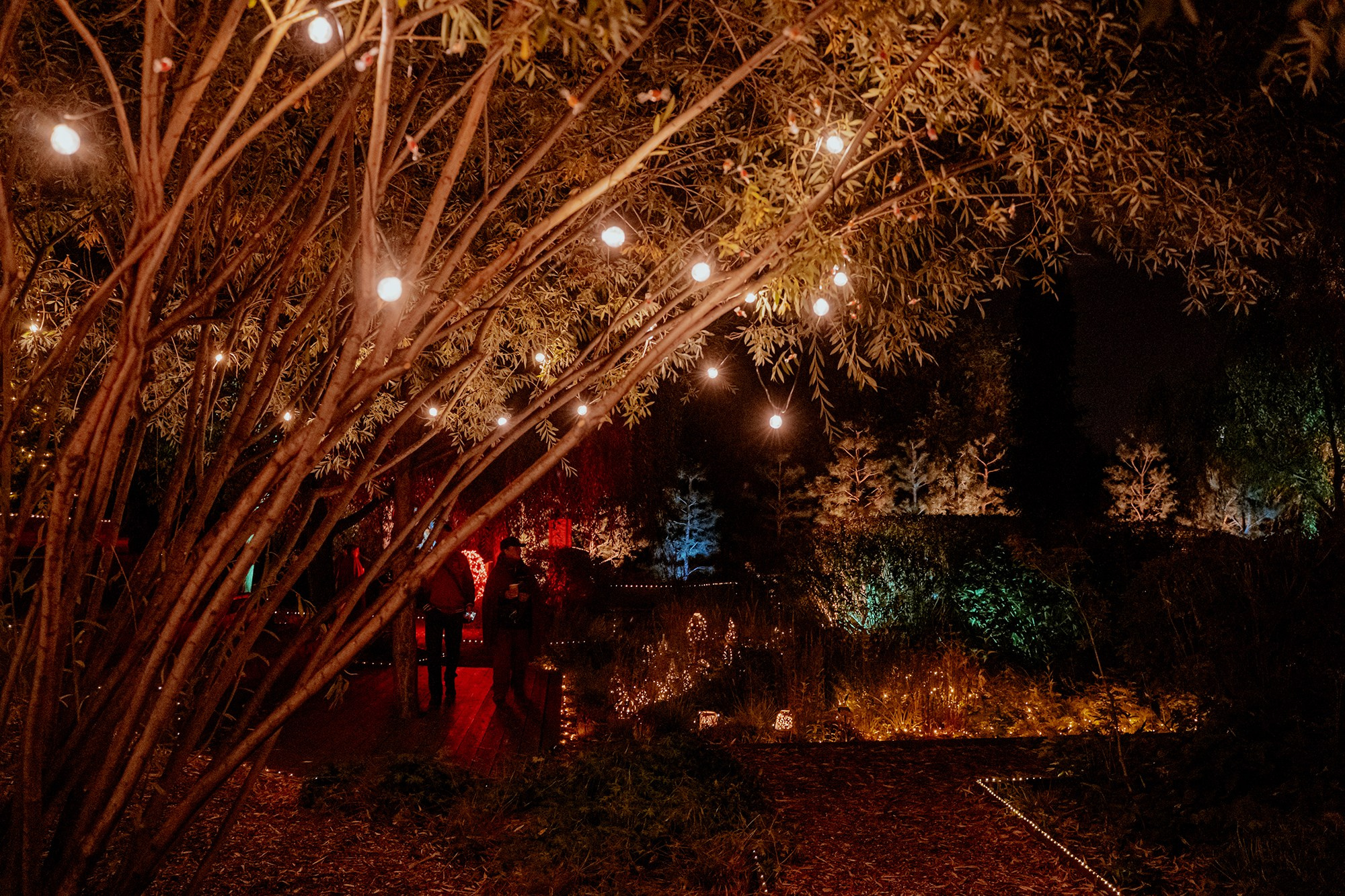 Детская сказочная съёмка в волшебной локации | Портфолио. Яна Жуковская, фотограф Тюмень