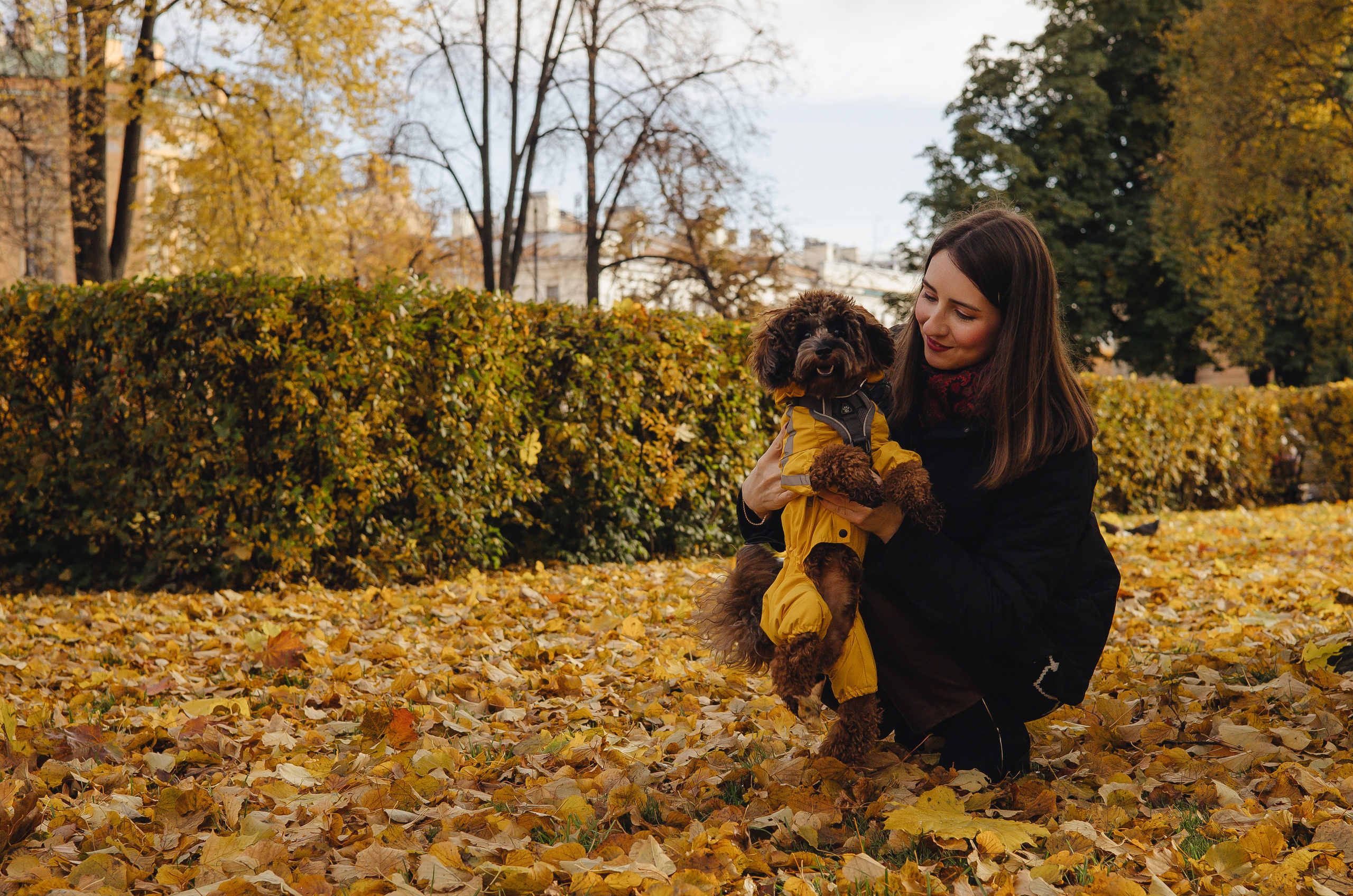 Летающая Мерси
