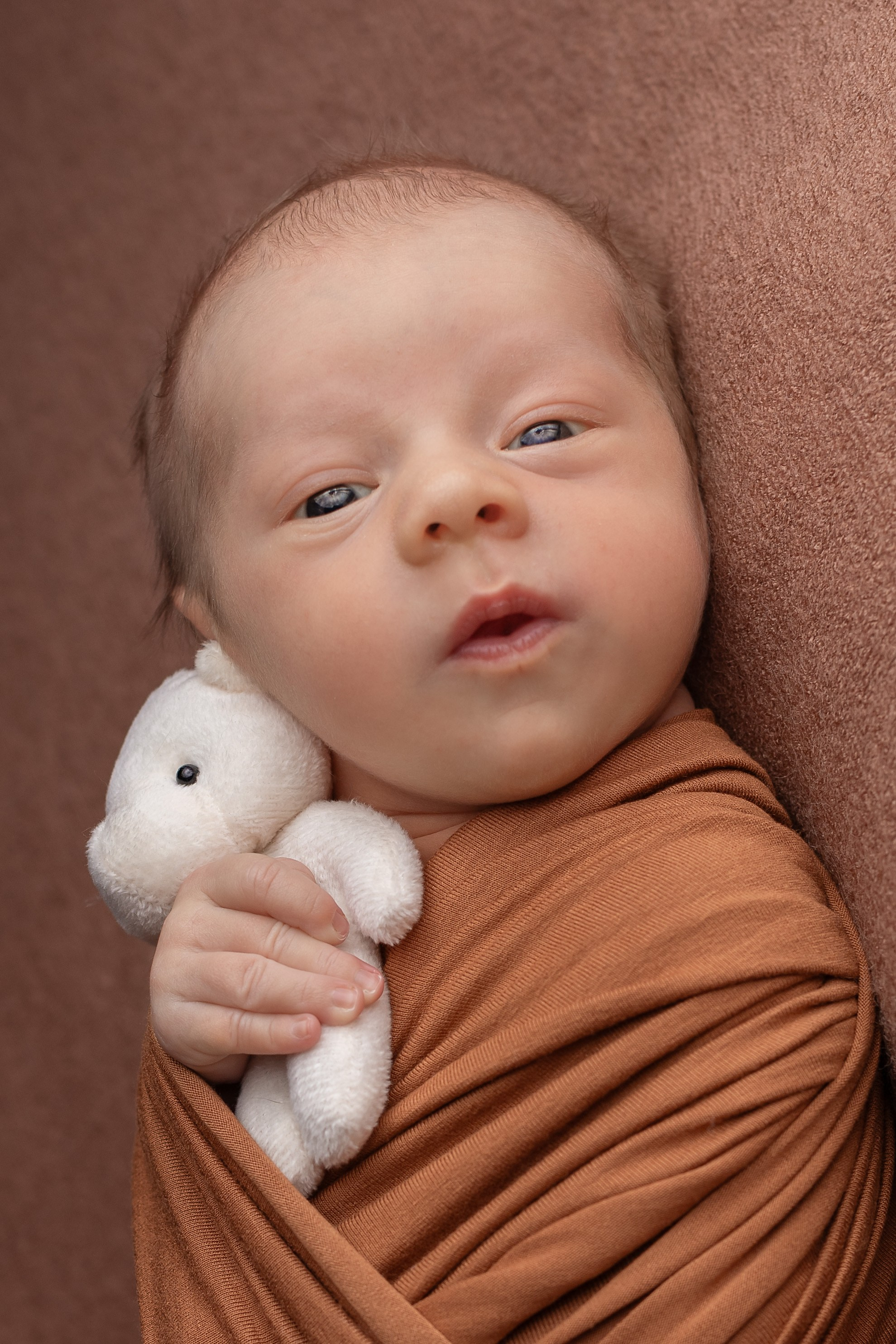 Лев. Ольга SHREIBICUS — Фотография беременности и новорожденных Оренбург