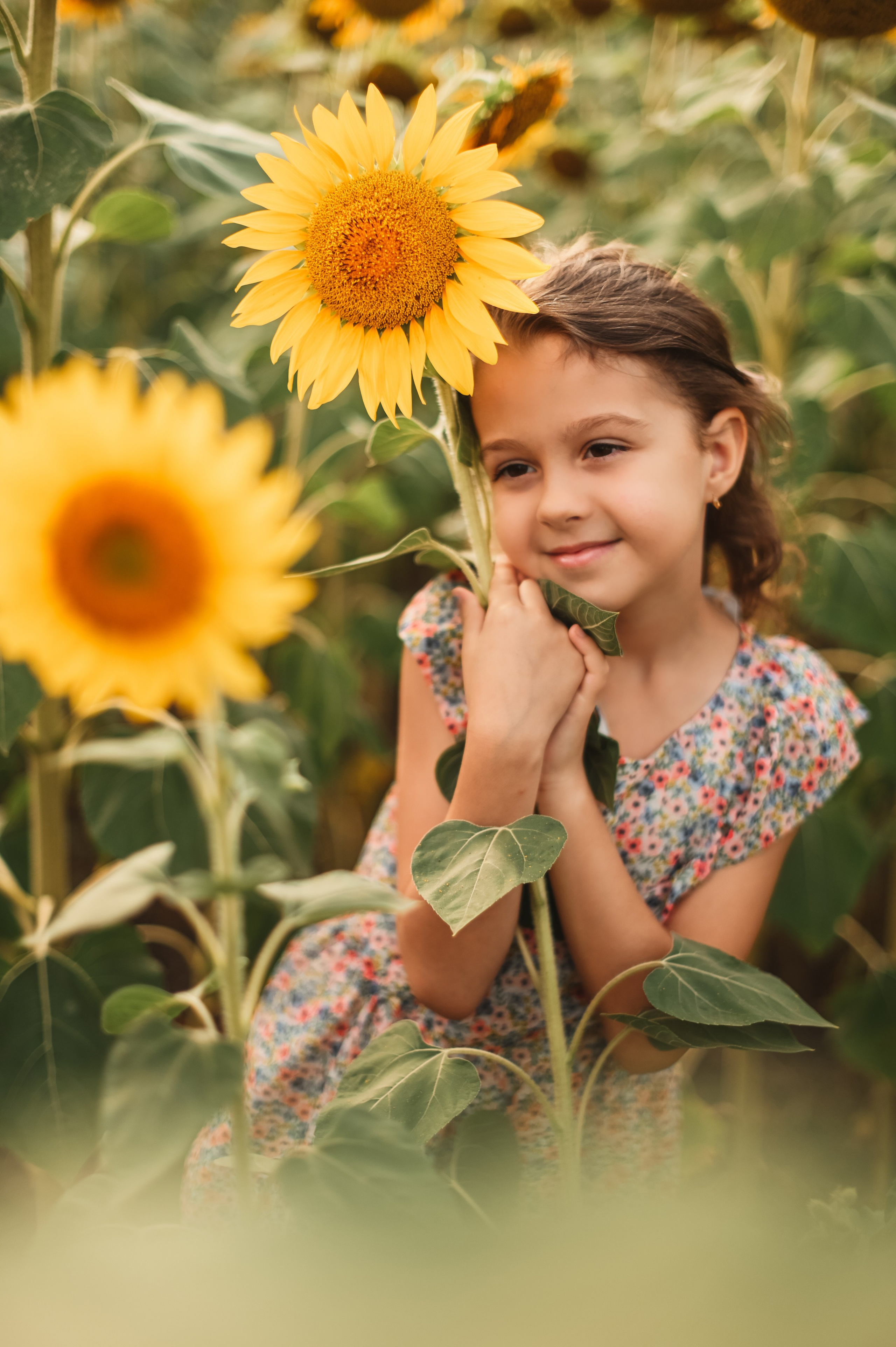 Подсолнухи Света, Даша, Миша, Александр. Фотограф Алёна Мил