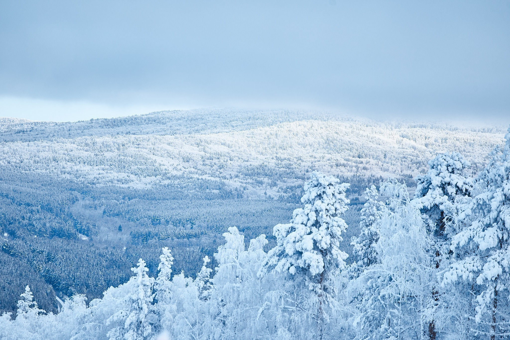 Фото с туров в Мраткино — Время Приключений