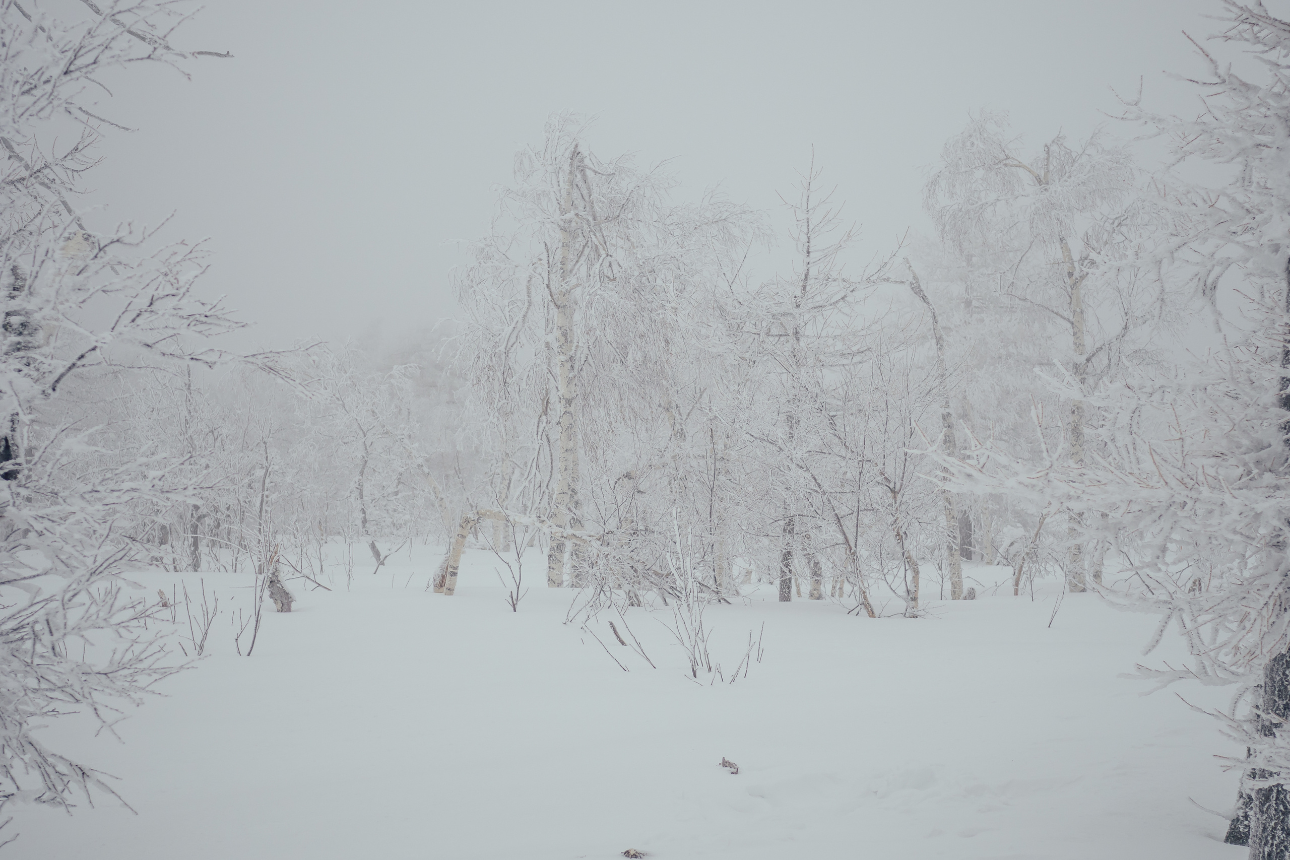 Фото с туров в Аджигардак — Время Приключений