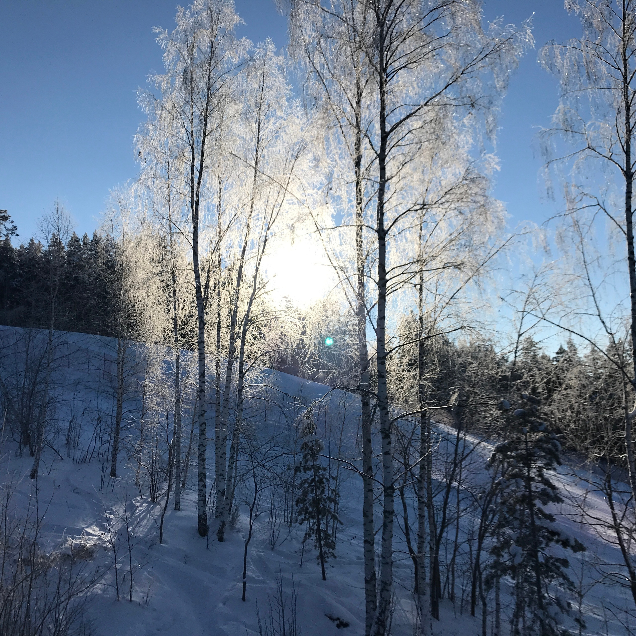 Фото с туров в Мраткино — Время Приключений