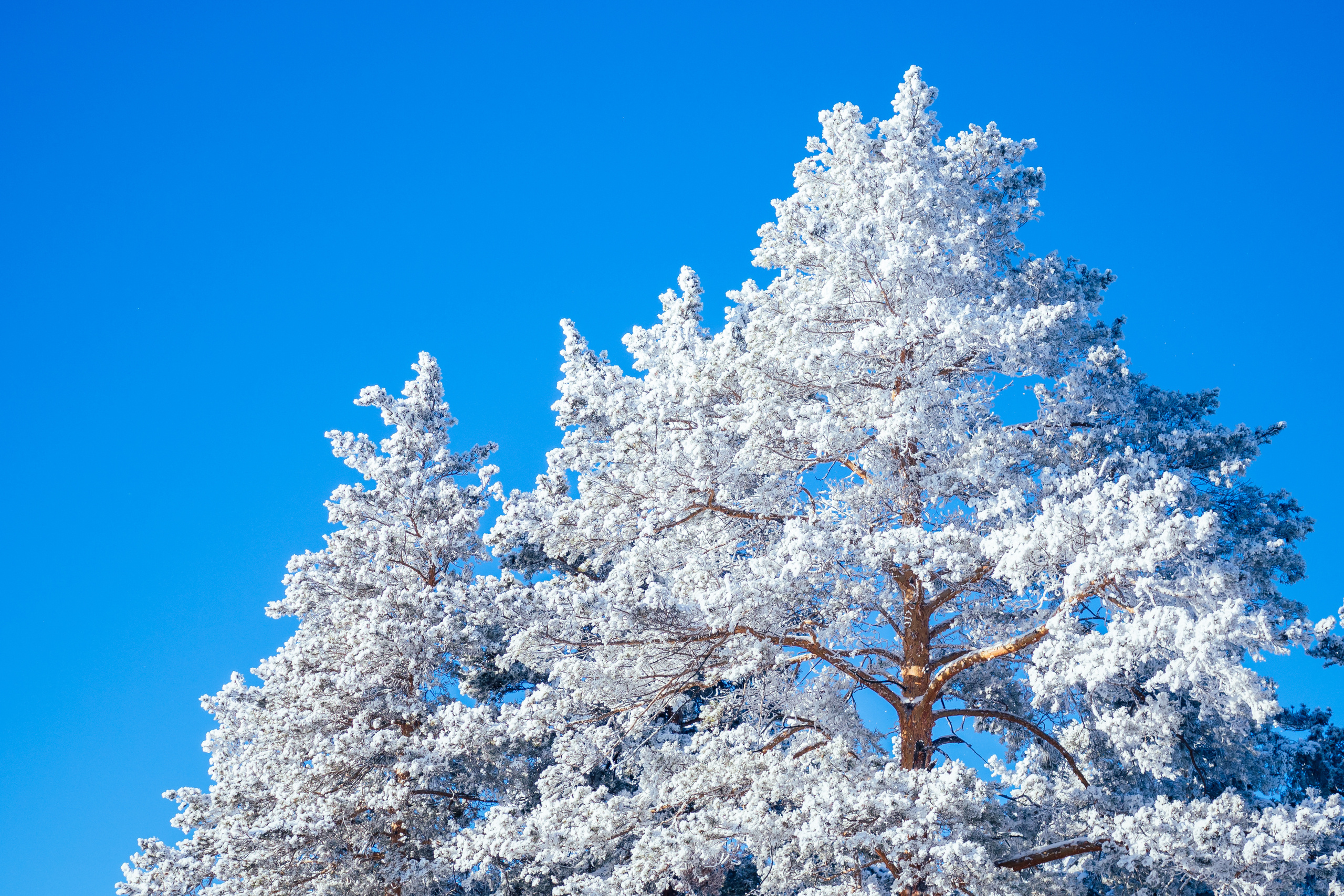Фото с туров в Мраткино — Время Приключений