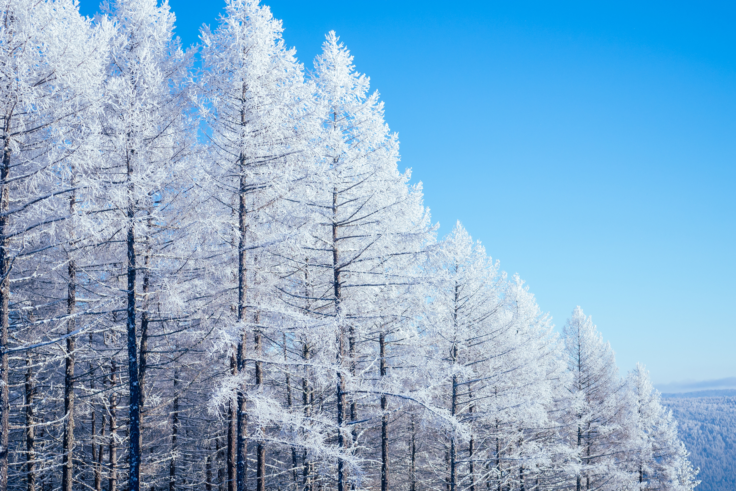 Фото с туров в Мраткино — Время Приключений