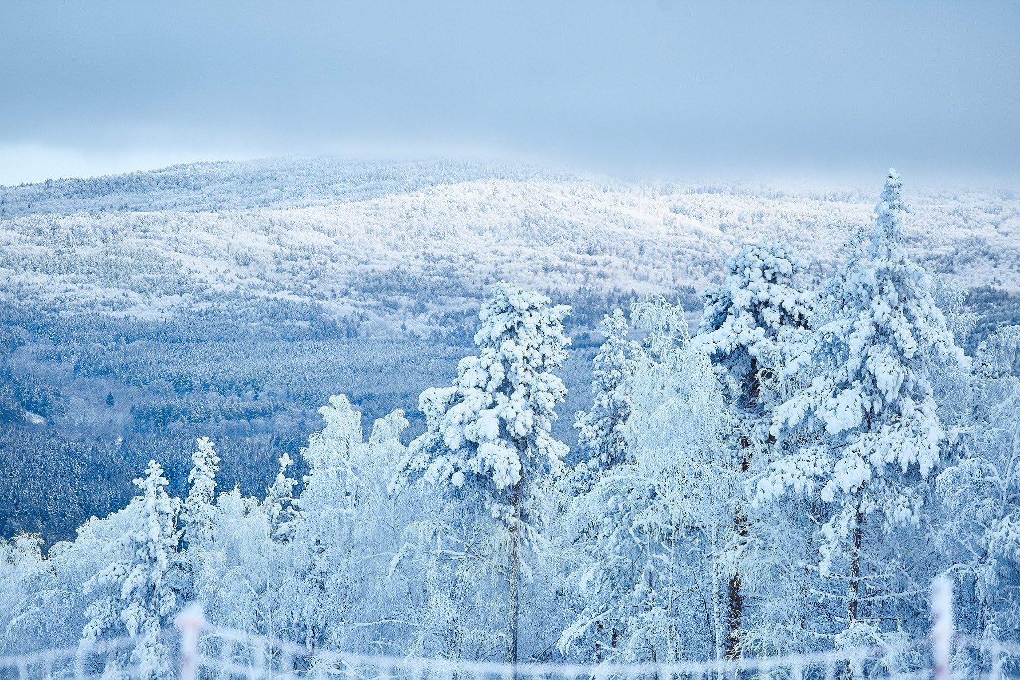 Фото с туров в Мраткино — Время Приключений