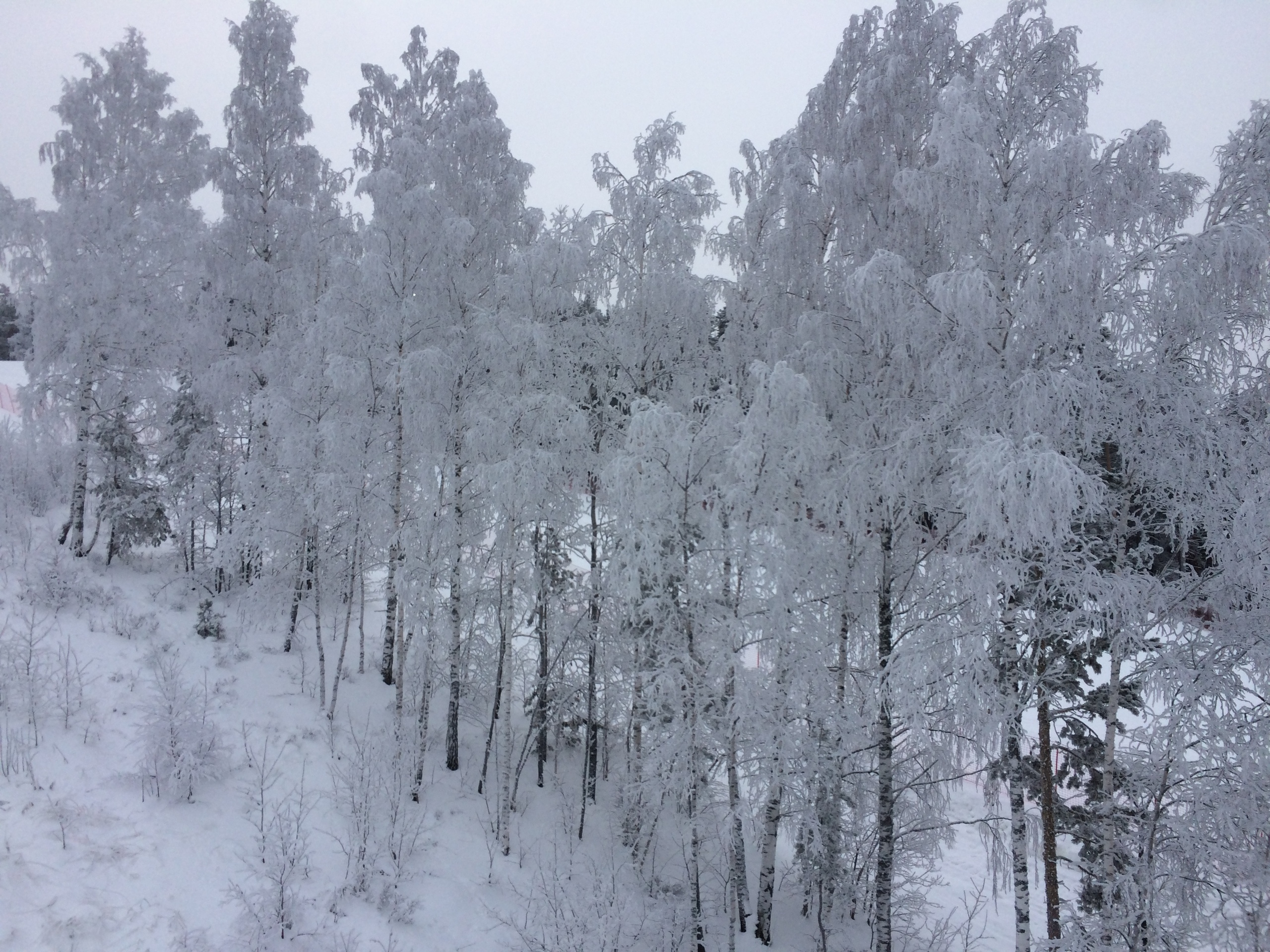 Фото с туров в Мраткино — Время Приключений