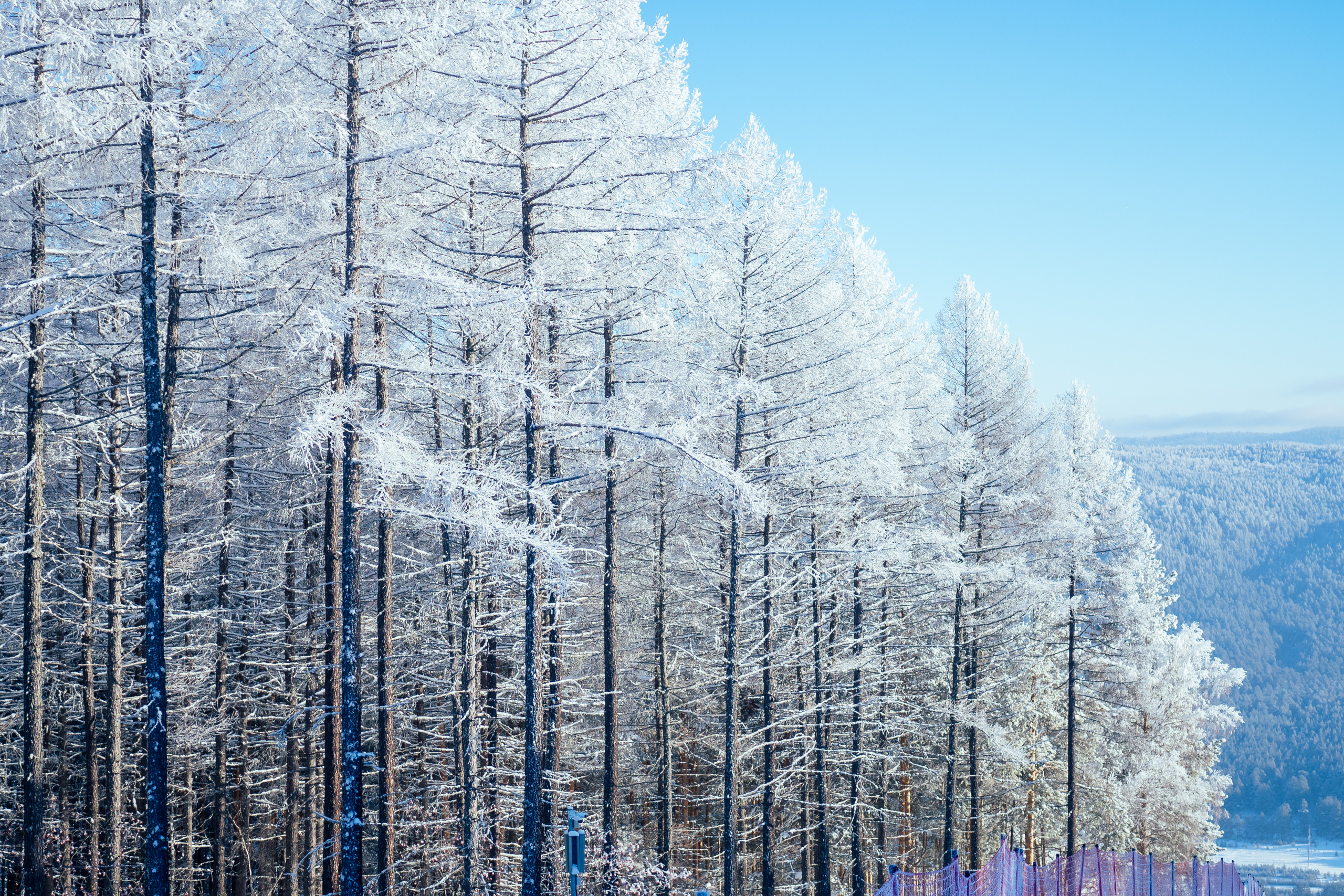 Фото с туров в Мраткино — Время Приключений