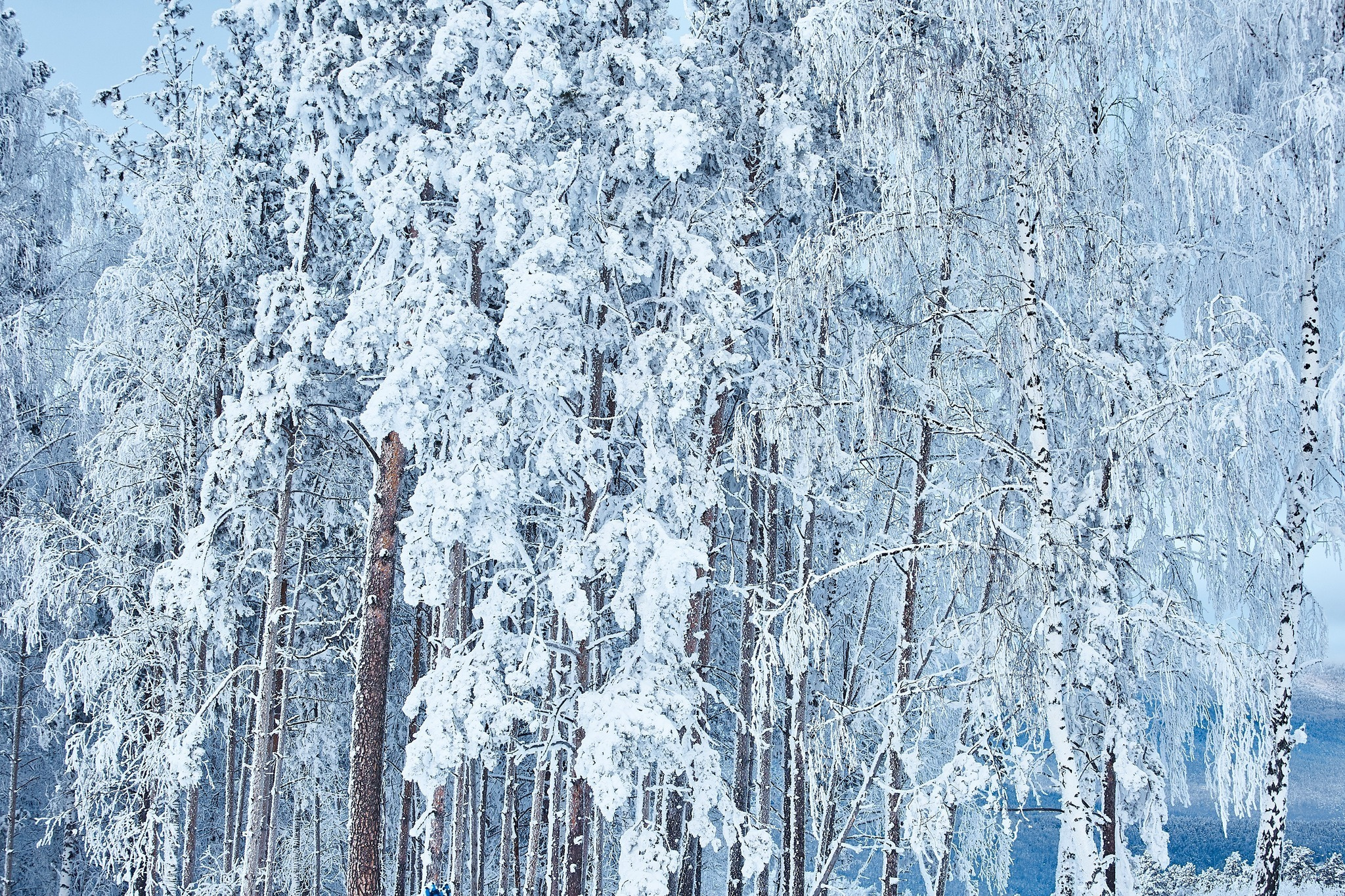 Фото с туров в Мраткино — Время Приключений