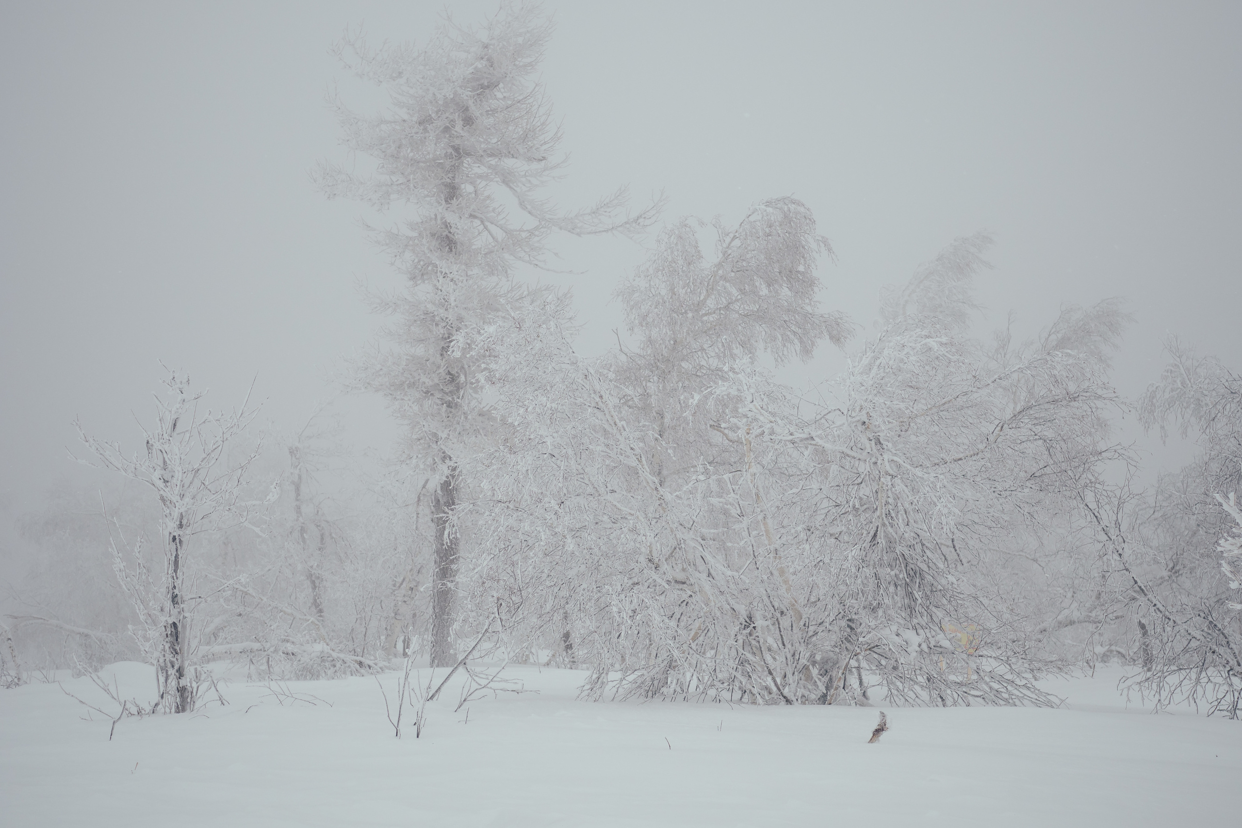 Фото с туров в Аджигардак — Время Приключений