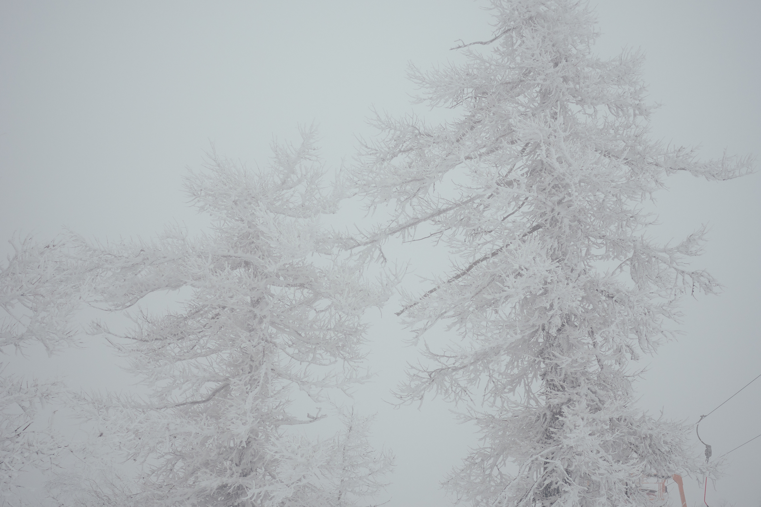 Фото с туров в Аджигардак — Время Приключений