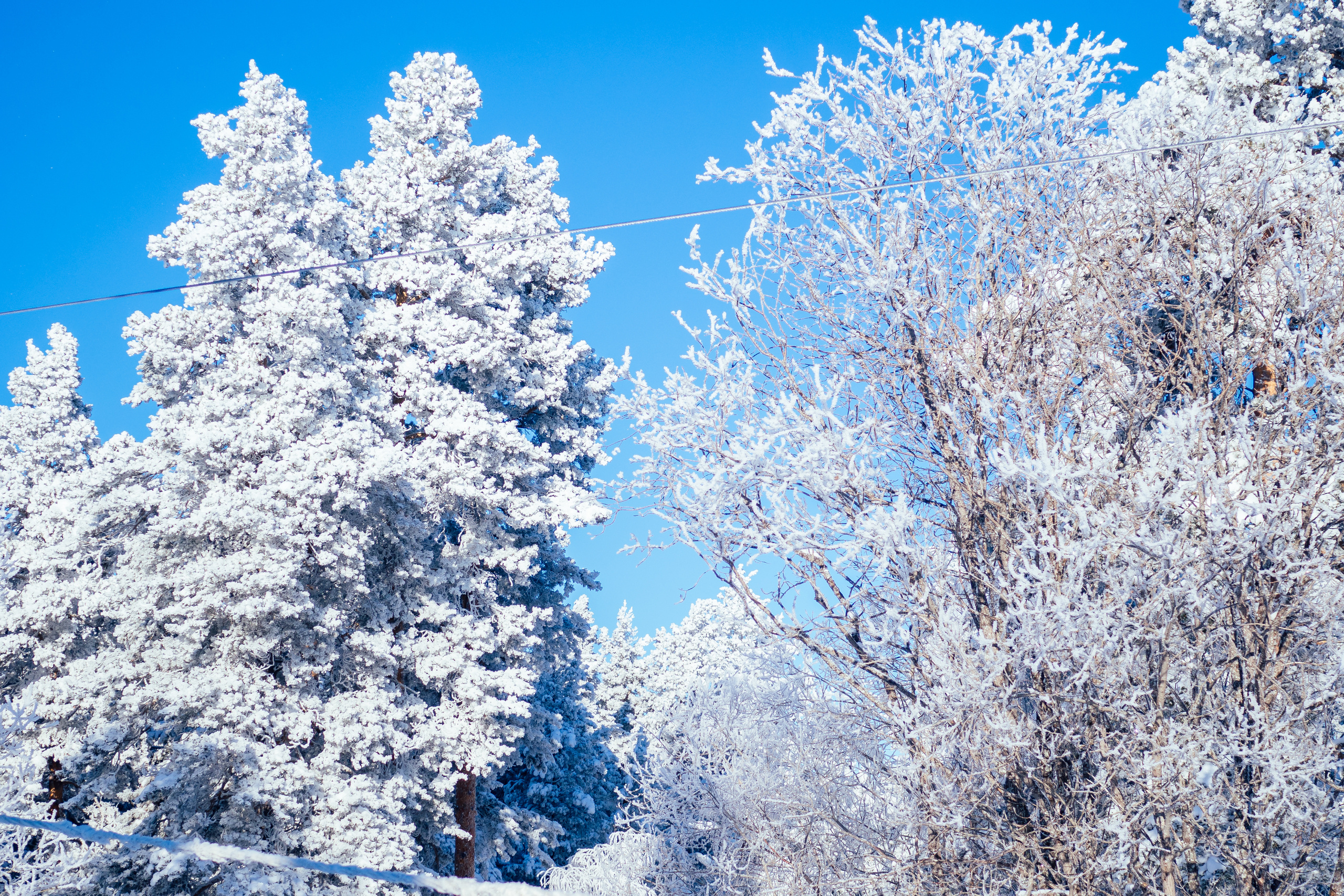 Фото с туров в Мраткино — Время Приключений