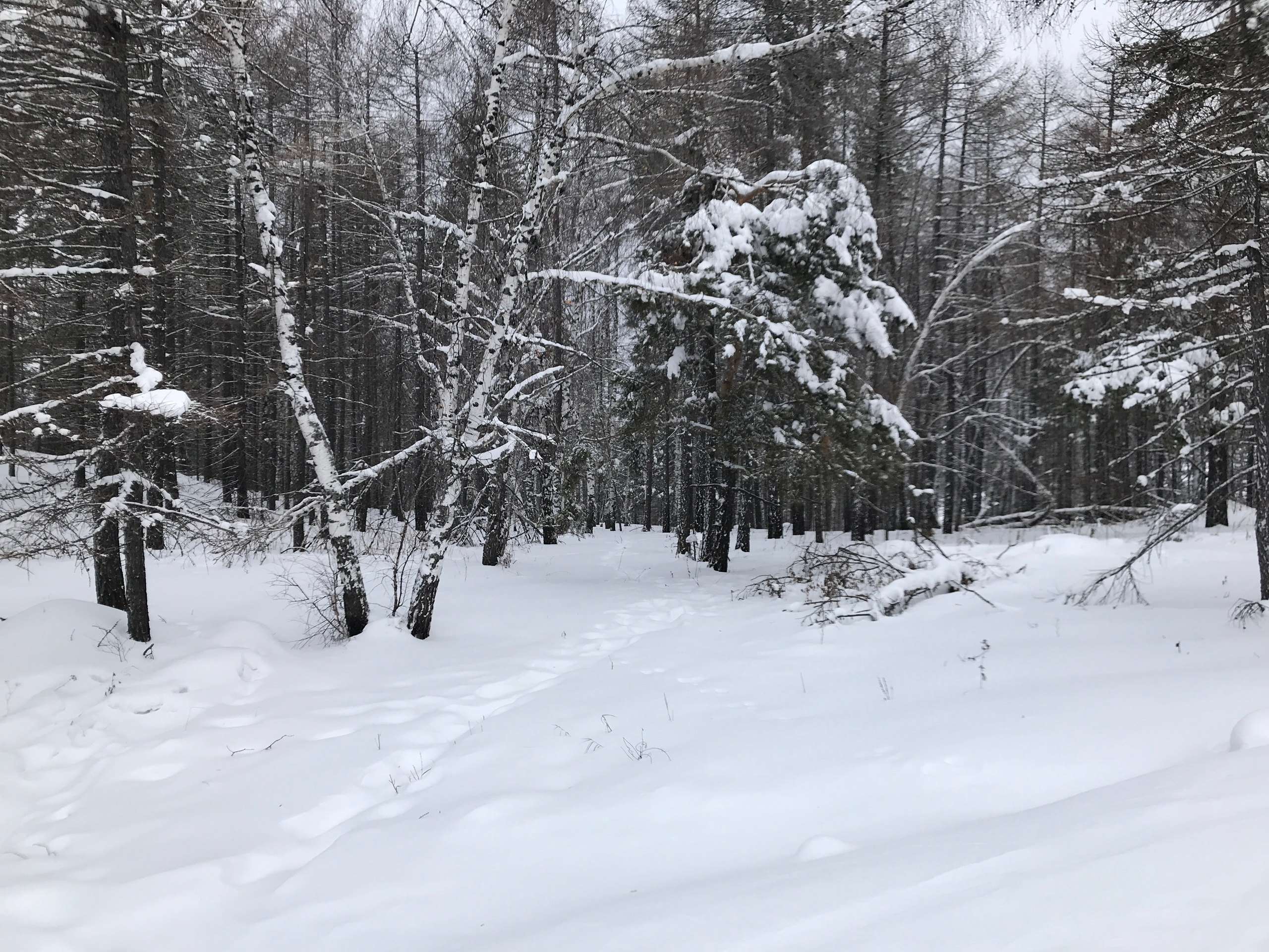 Фото с туров в Абзаково — Время Приключений