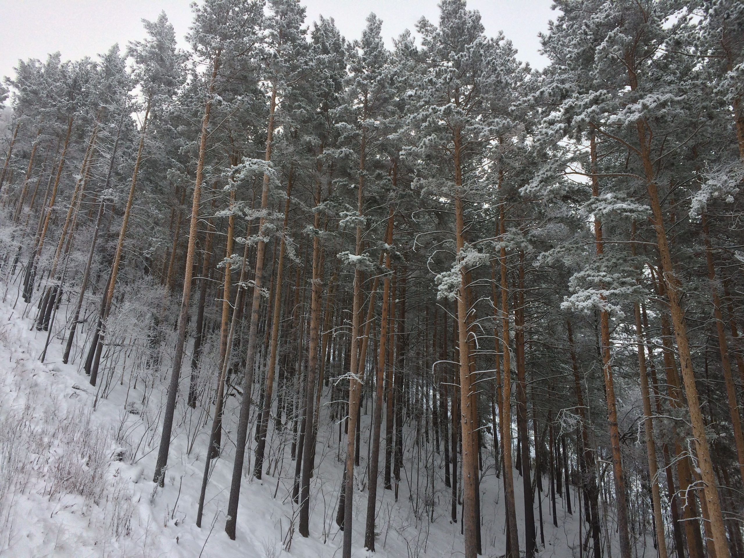 Фото с туров в Мраткино — Время Приключений