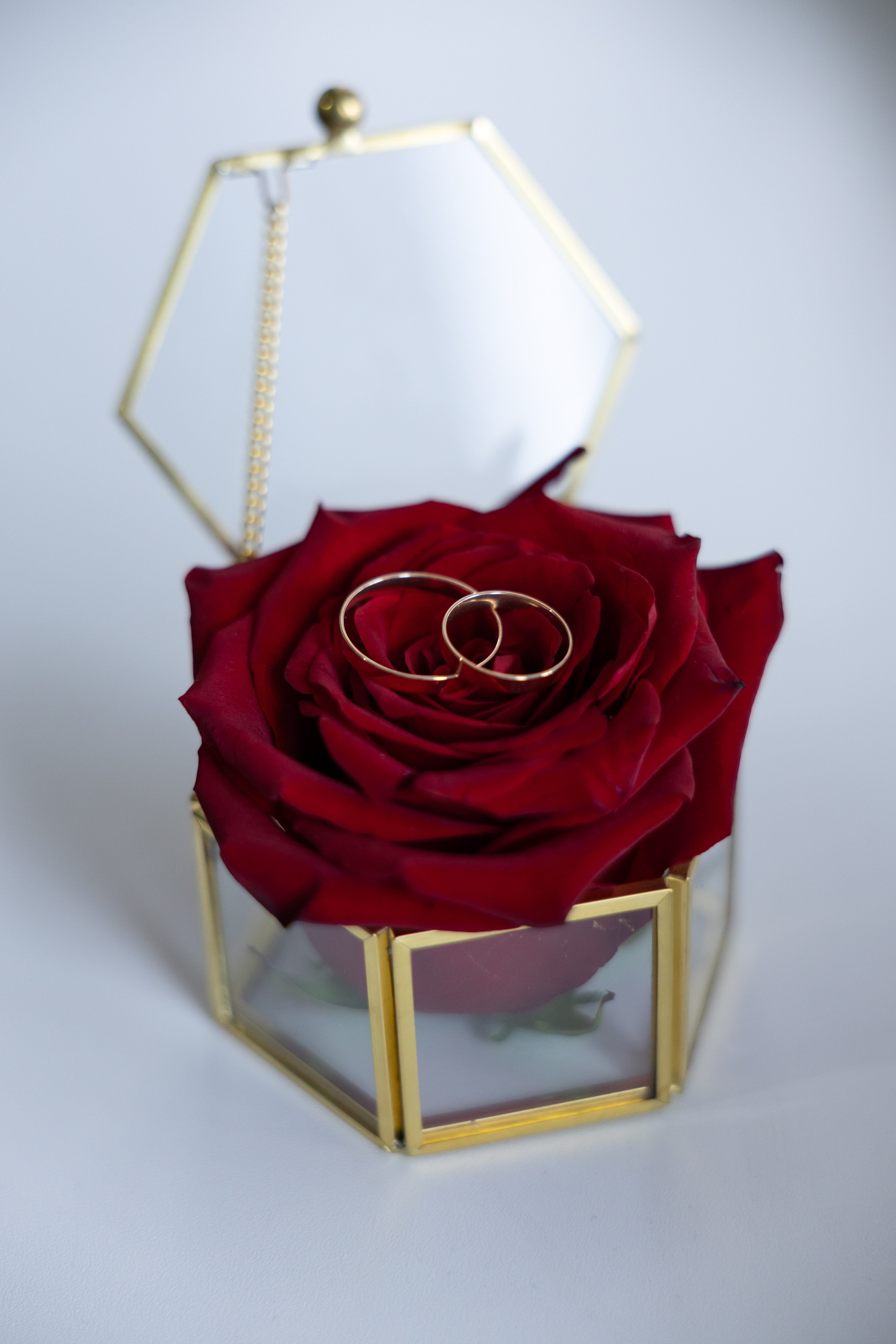 О нас. Анастасия Соломенная и Василиса Марченко Фотографы Краснодар