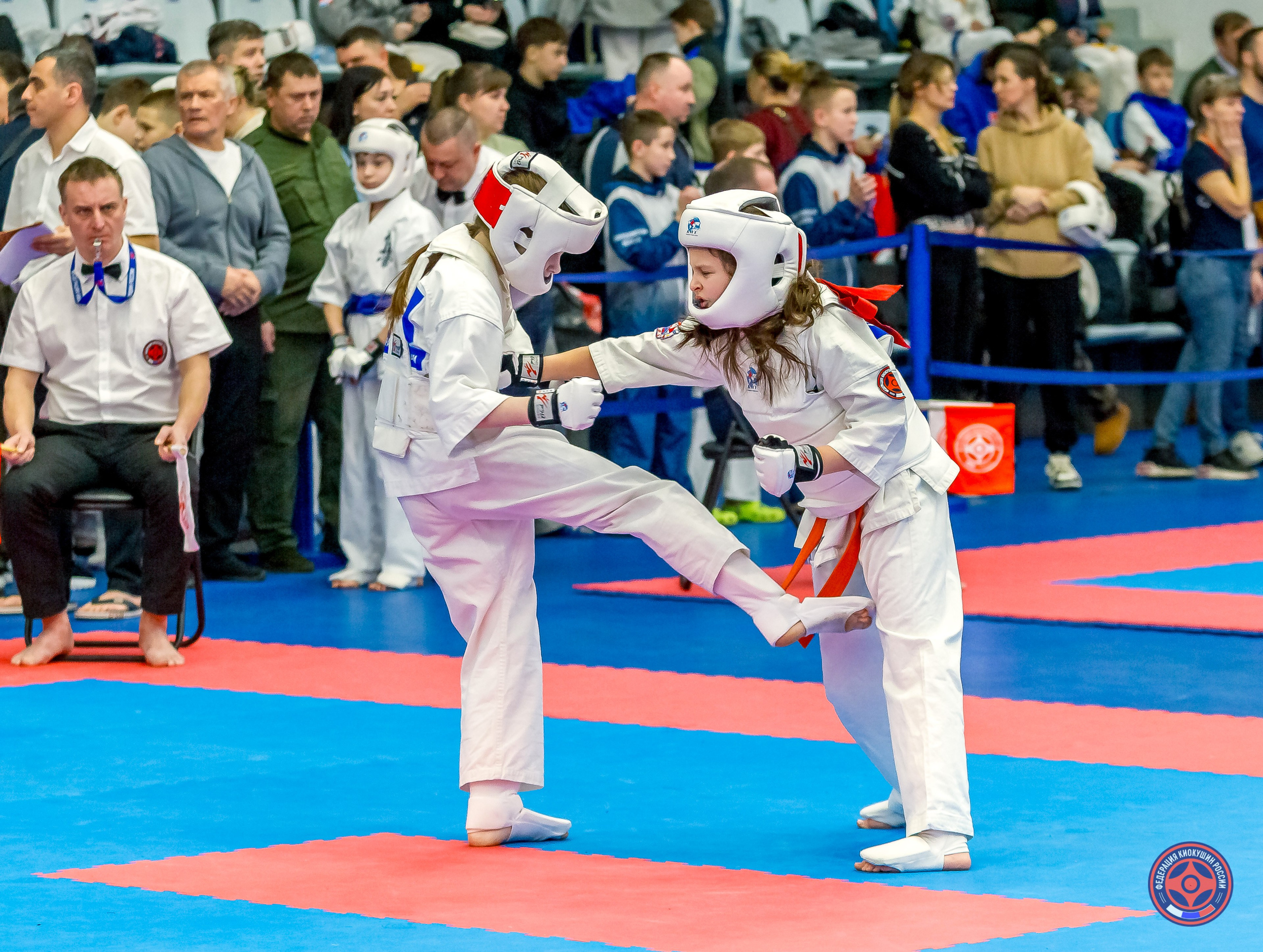 Международный турнир по киокушин «Открытый кубок Seiken». Репортажная съемка в Москве и области. Анималистика