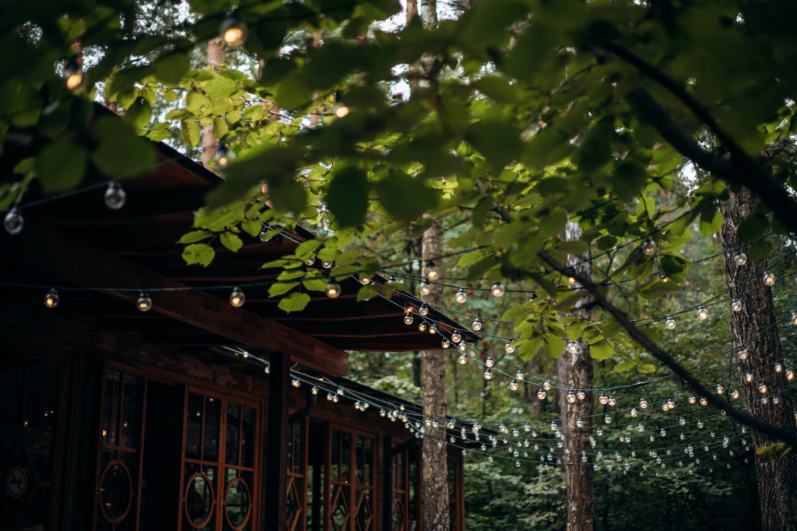 Лучик и ее семья. Фотограф — Анималист | Санкт-Петербург