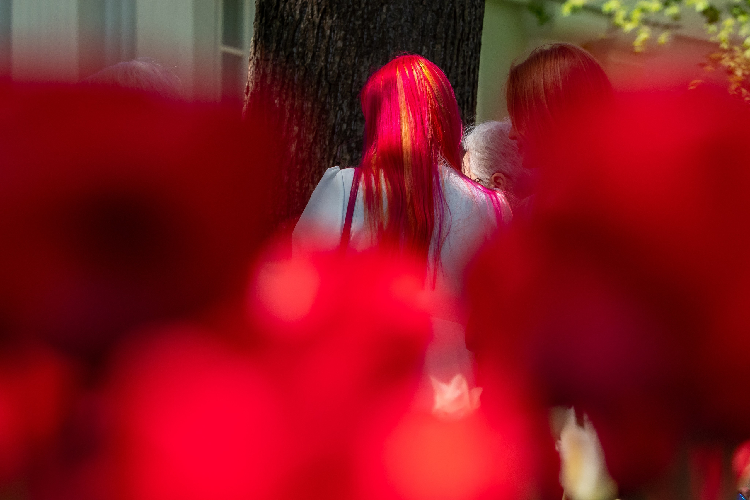 Фотомоменты 2024 года. Фотограф в Петербурге Олег Золото