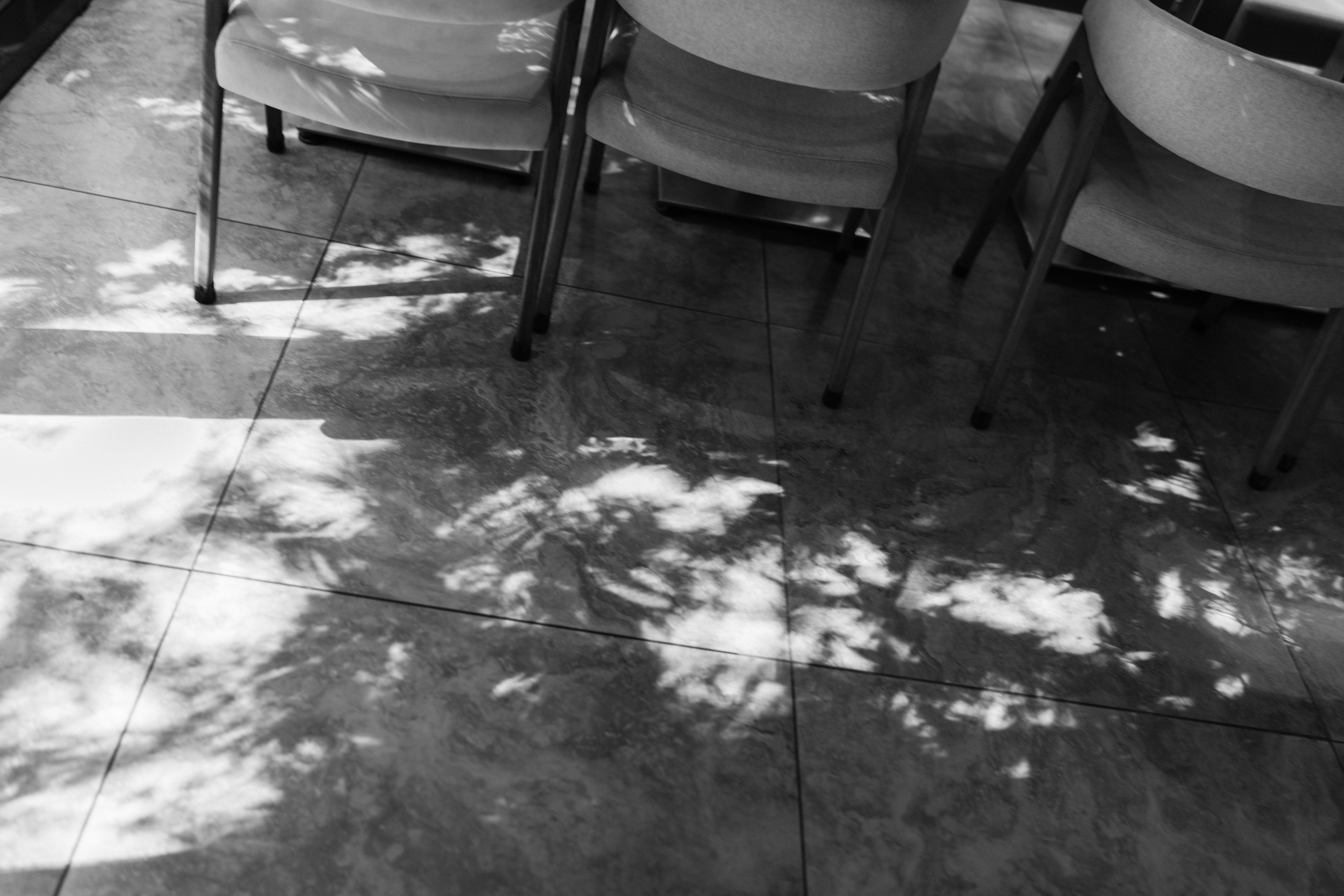 День рождения в ресторане «Fox». Семейный и свадебный фотограф в Красногорске Анастасия Тихонова