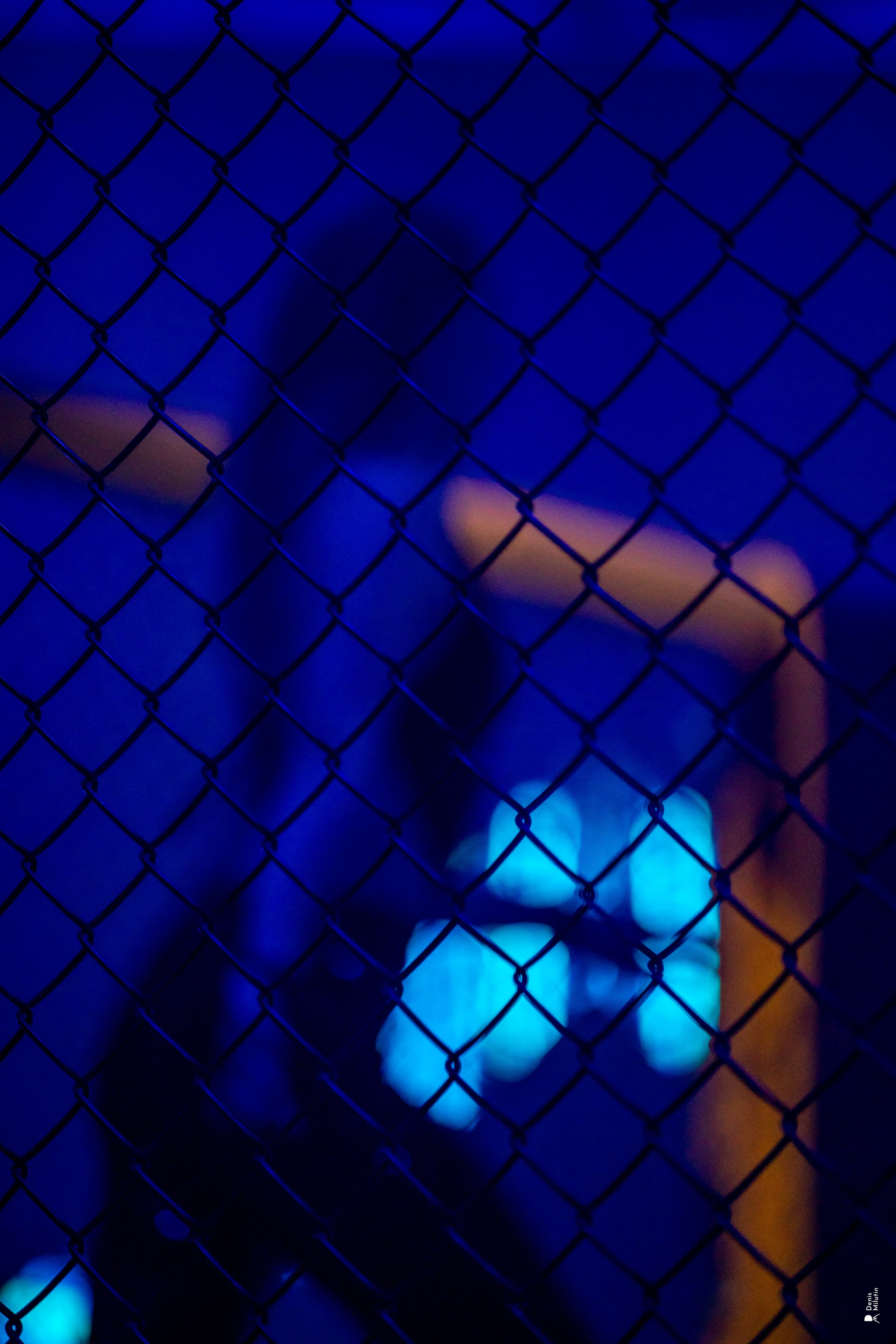 Бои в клетке «Северный Воин». Портретный фотограф Денис Милютин