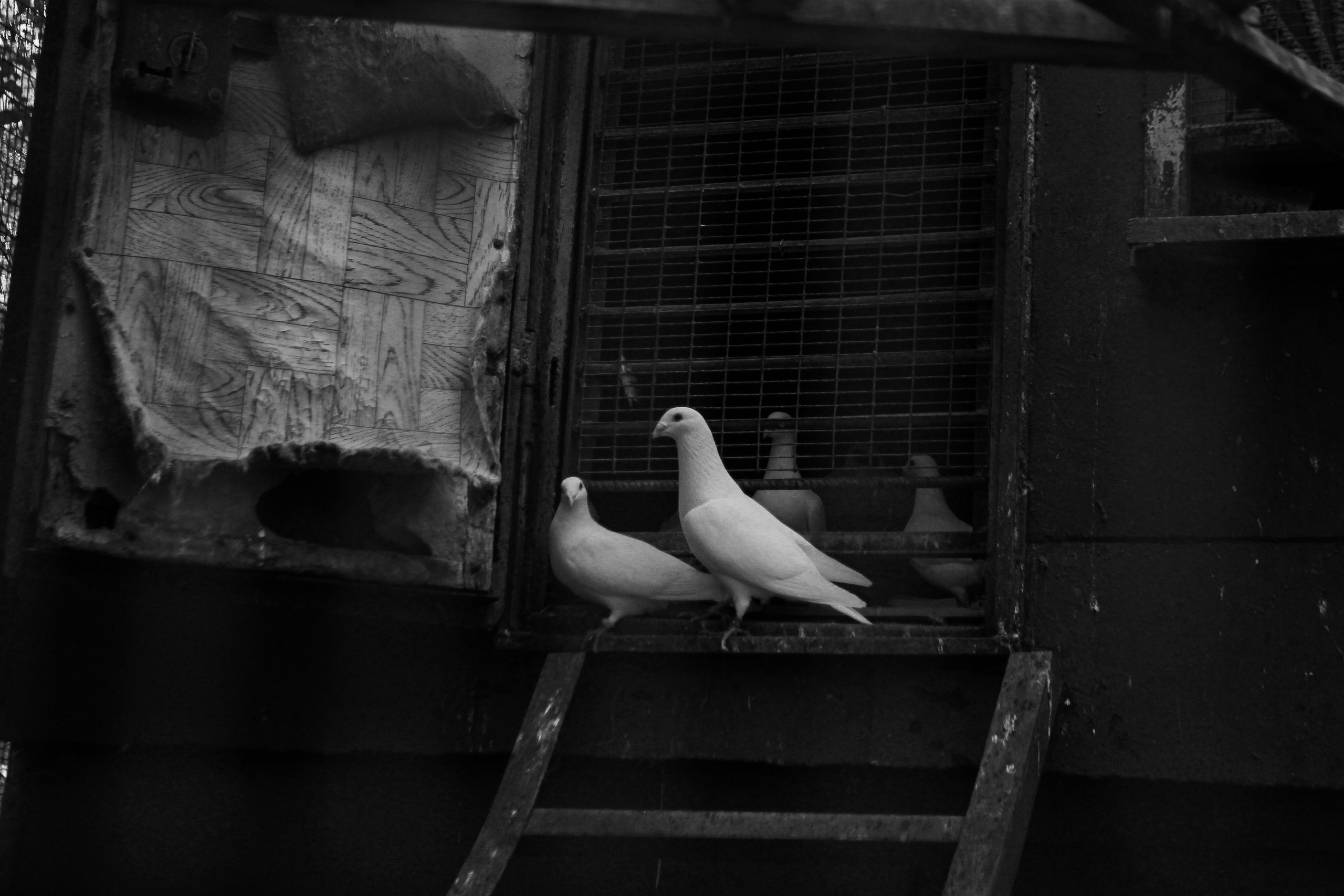 Здесь еще живут. Больше не греет