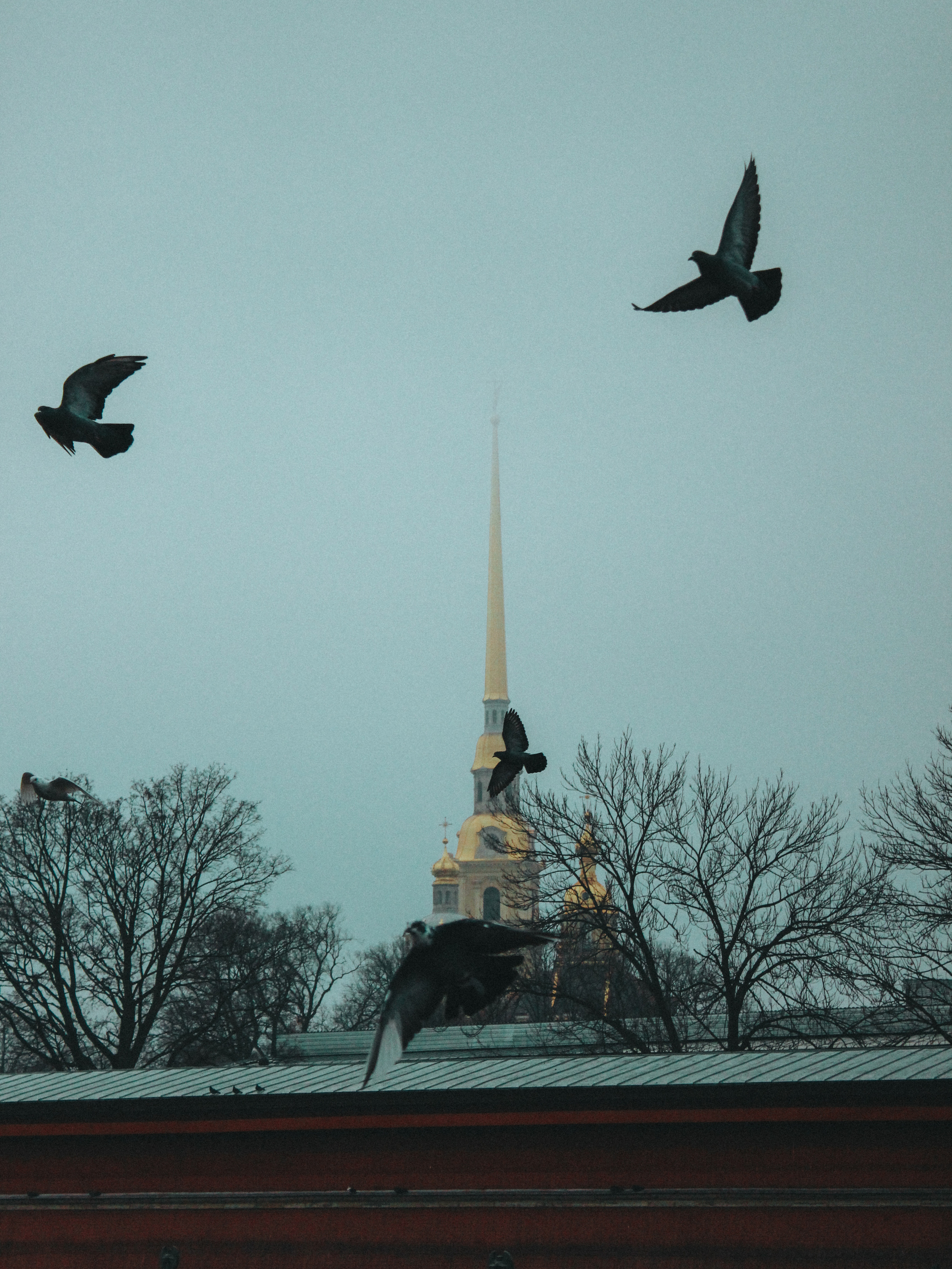 Питер. Больше не греет