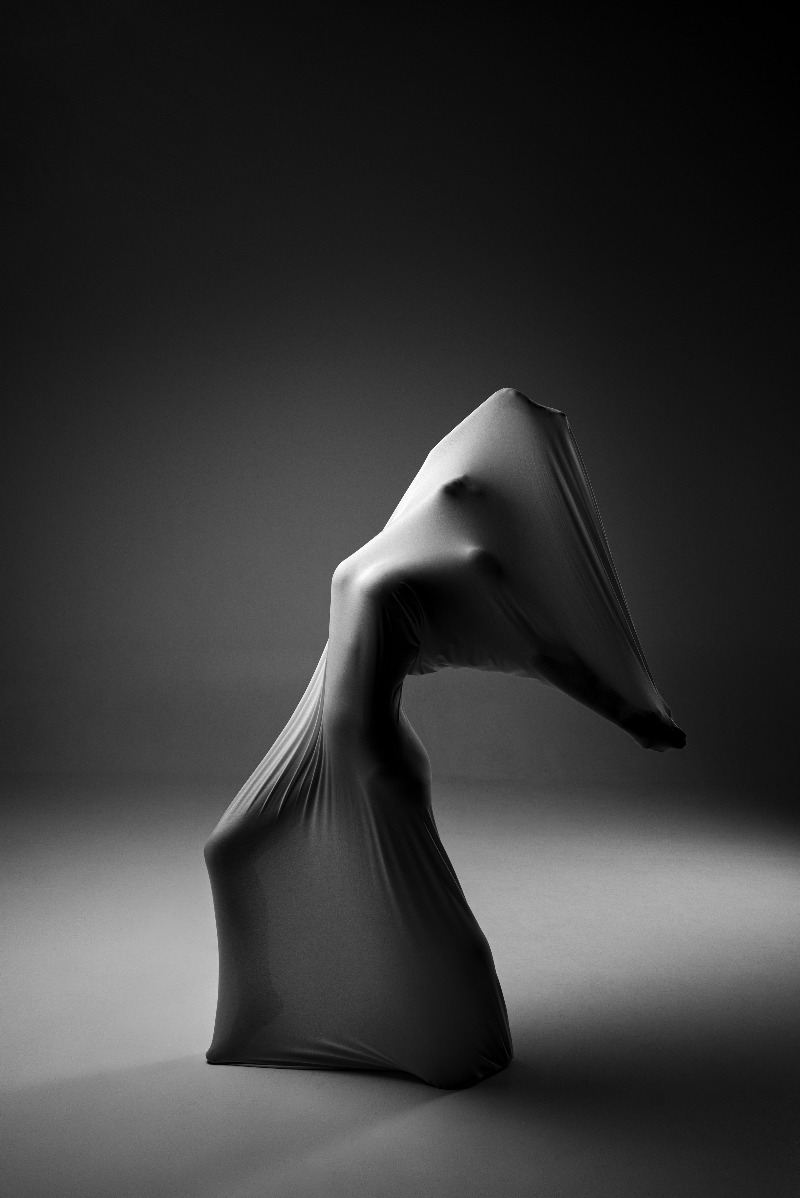 Фотографические скульптуры