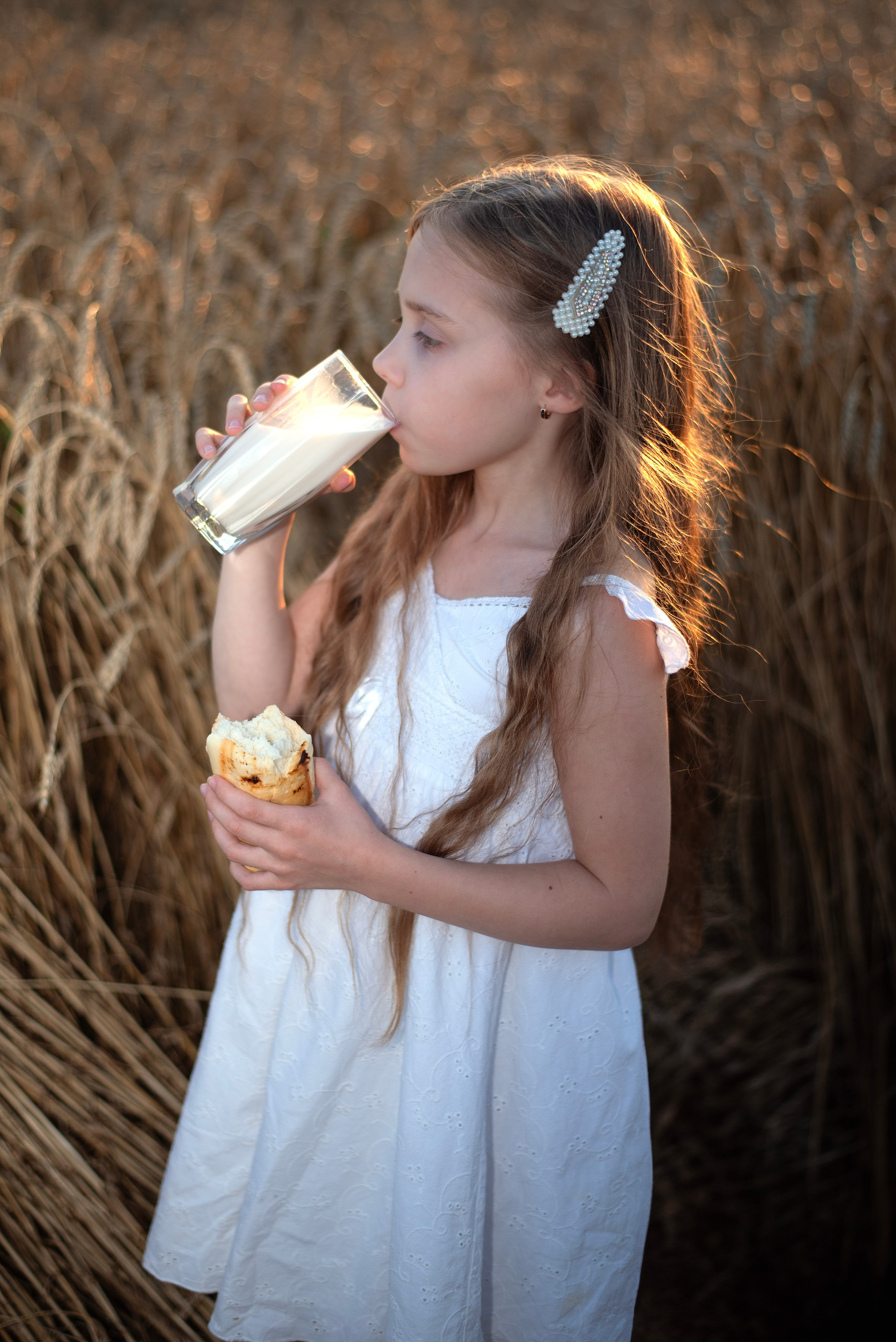 Поле пшеницы. Главная