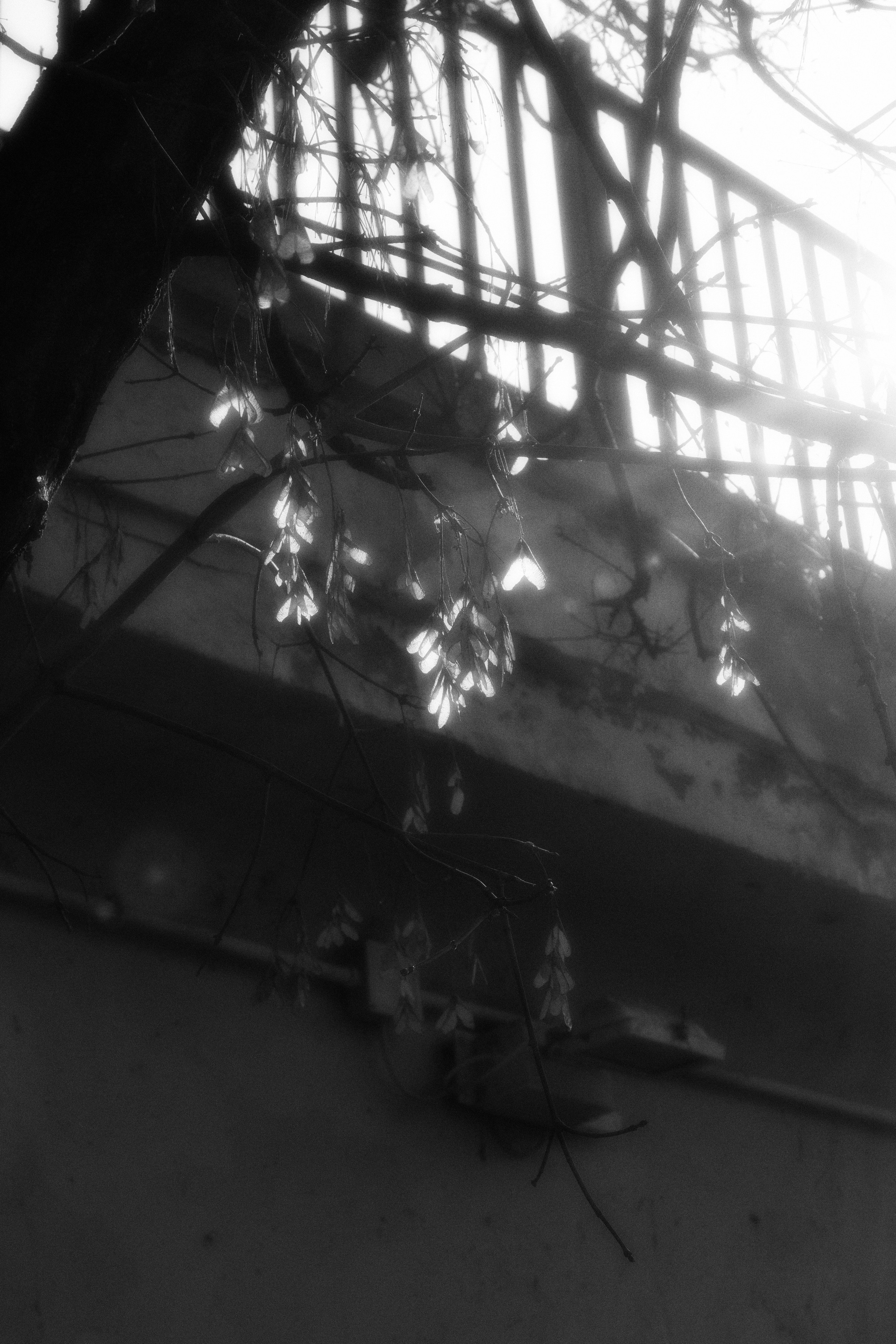 MOSCOW. ANNA — PHOTOGRAPHER