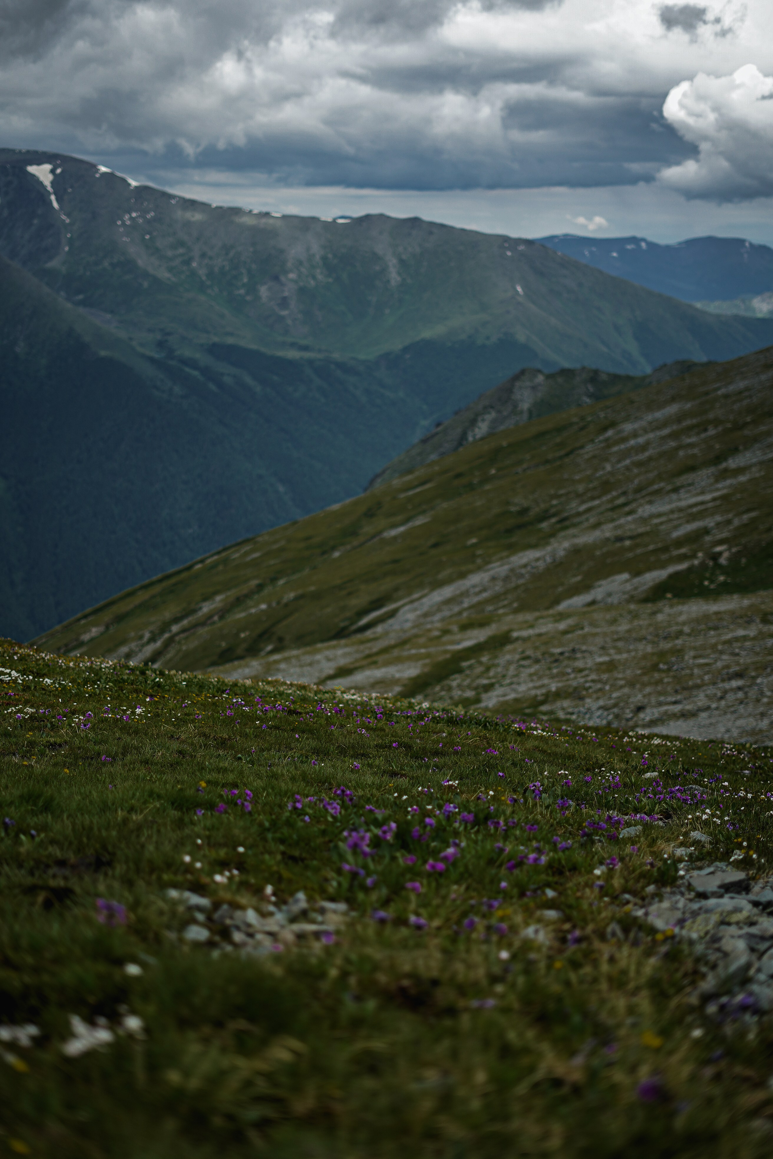 Путешествия. Фотограф Ольга Пучкова