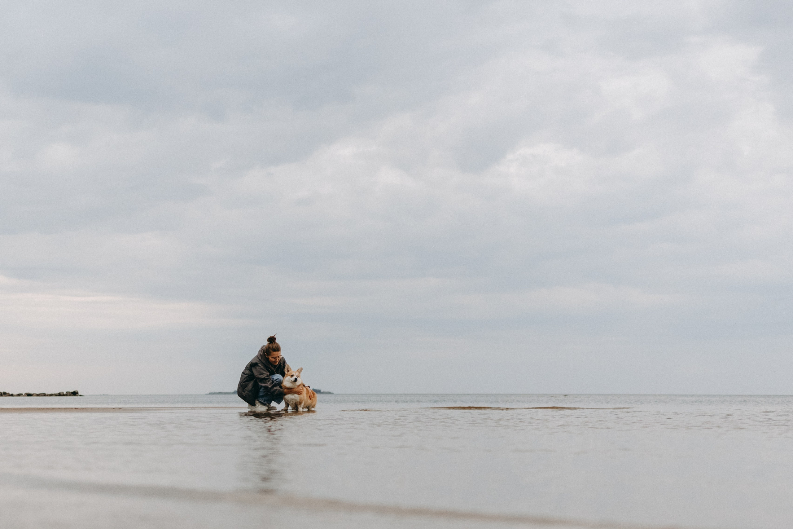 Лиза и Бакс. Фотограф — Анималист | Санкт-Петербург