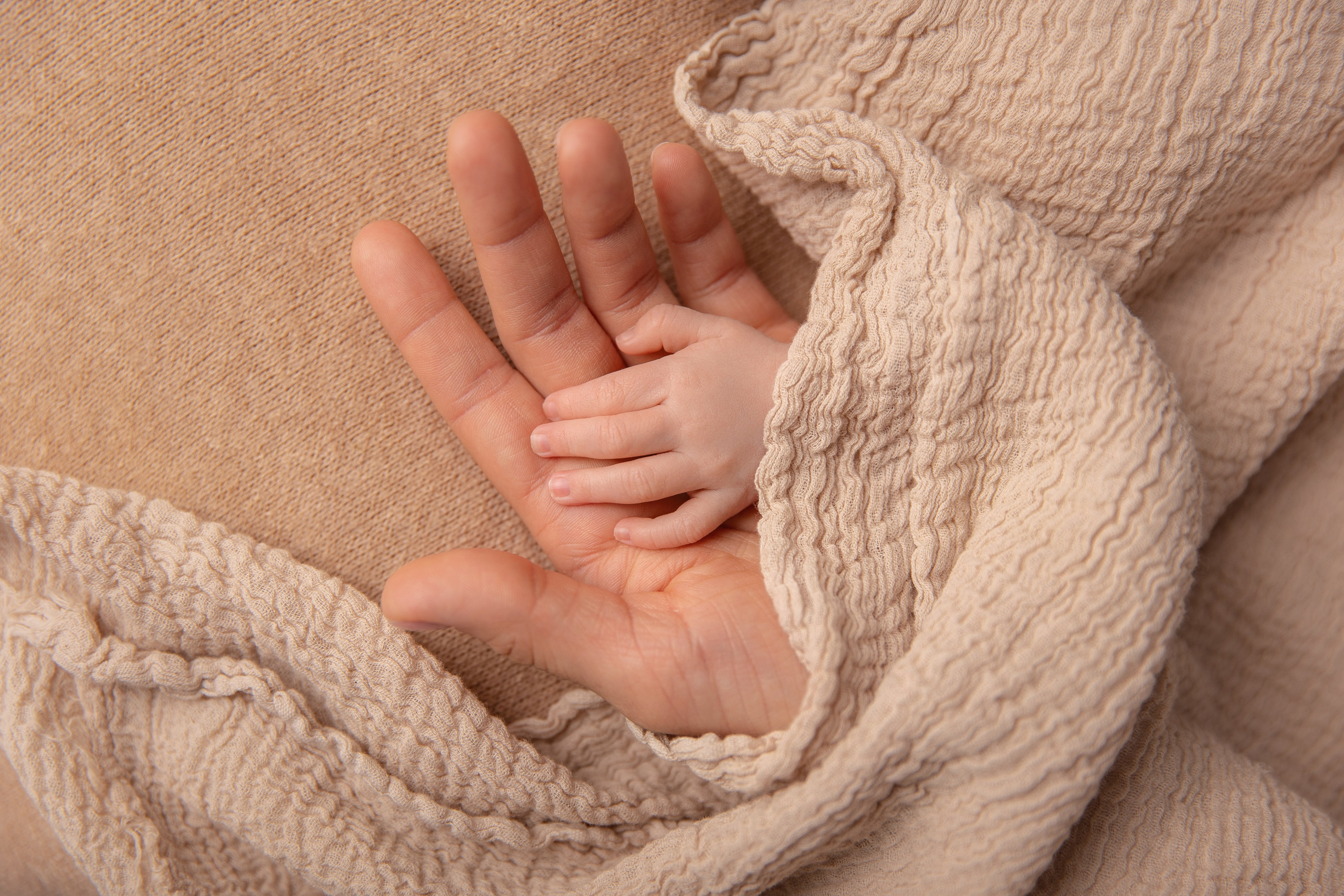 Chocolate. Фотограф новорожденных, семейный фотограф в Санкт-Петербурге