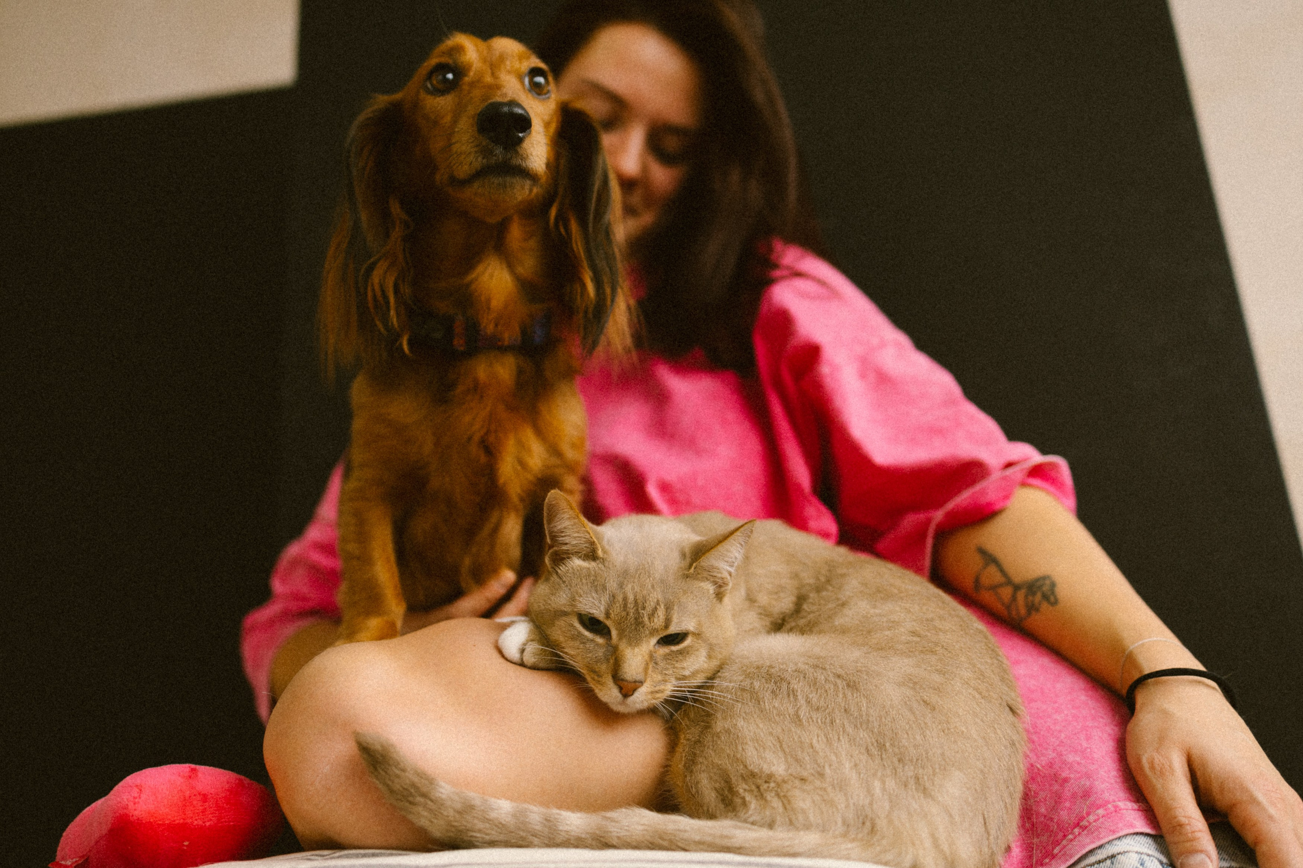 Марина, Липа, Бейлиз. Главная