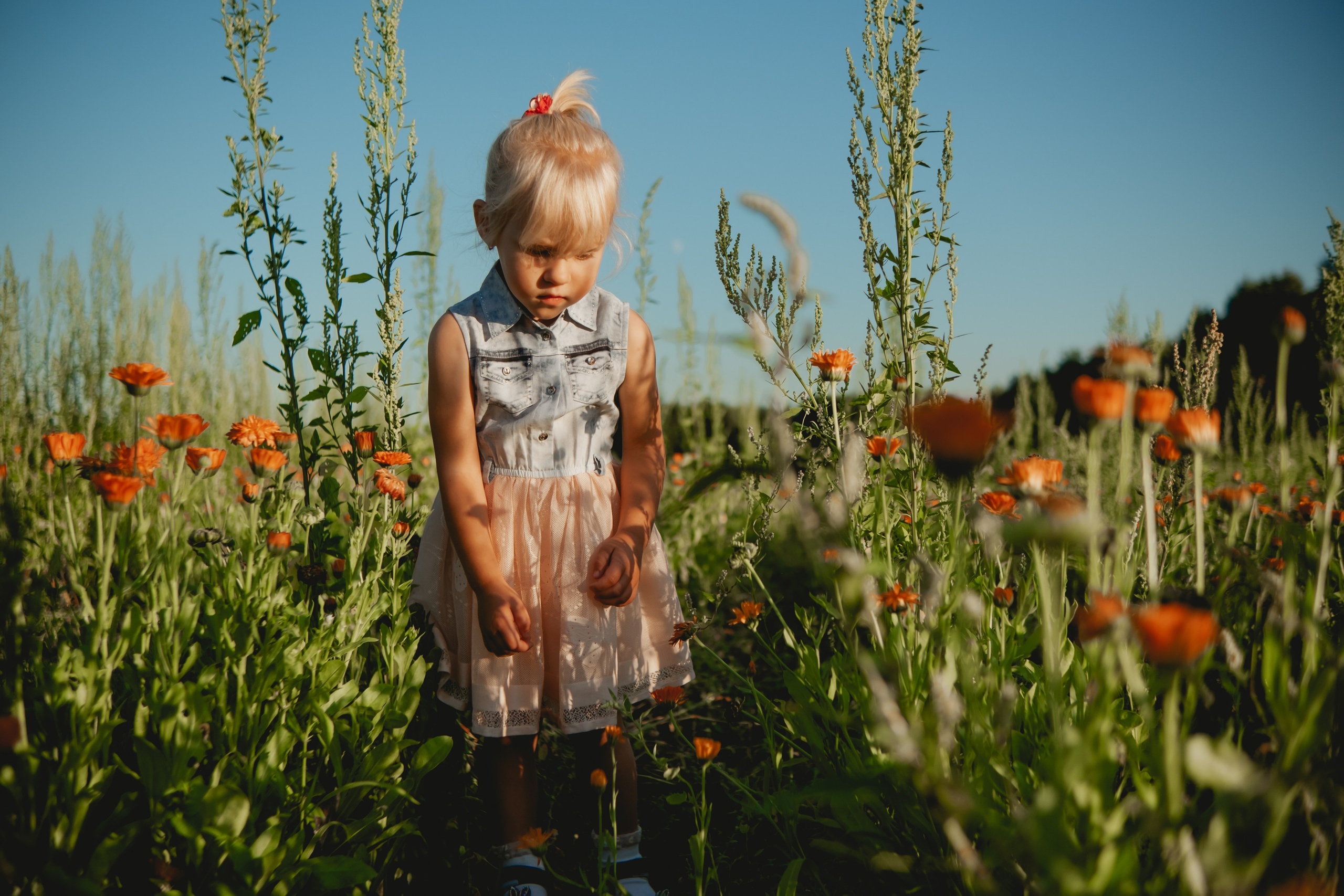 Семейная съемка в лованде. Nattie.ph