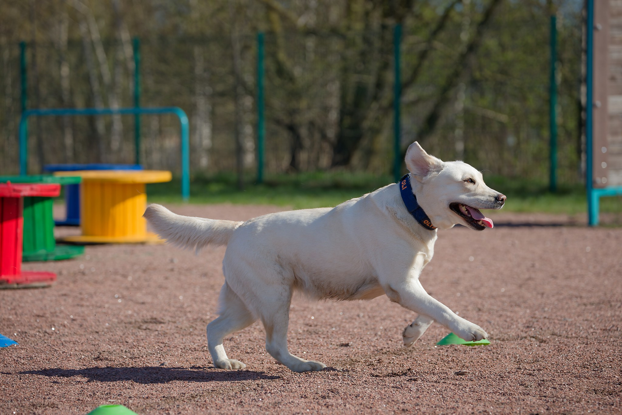 Турнир «Место». Irenephoto.ru