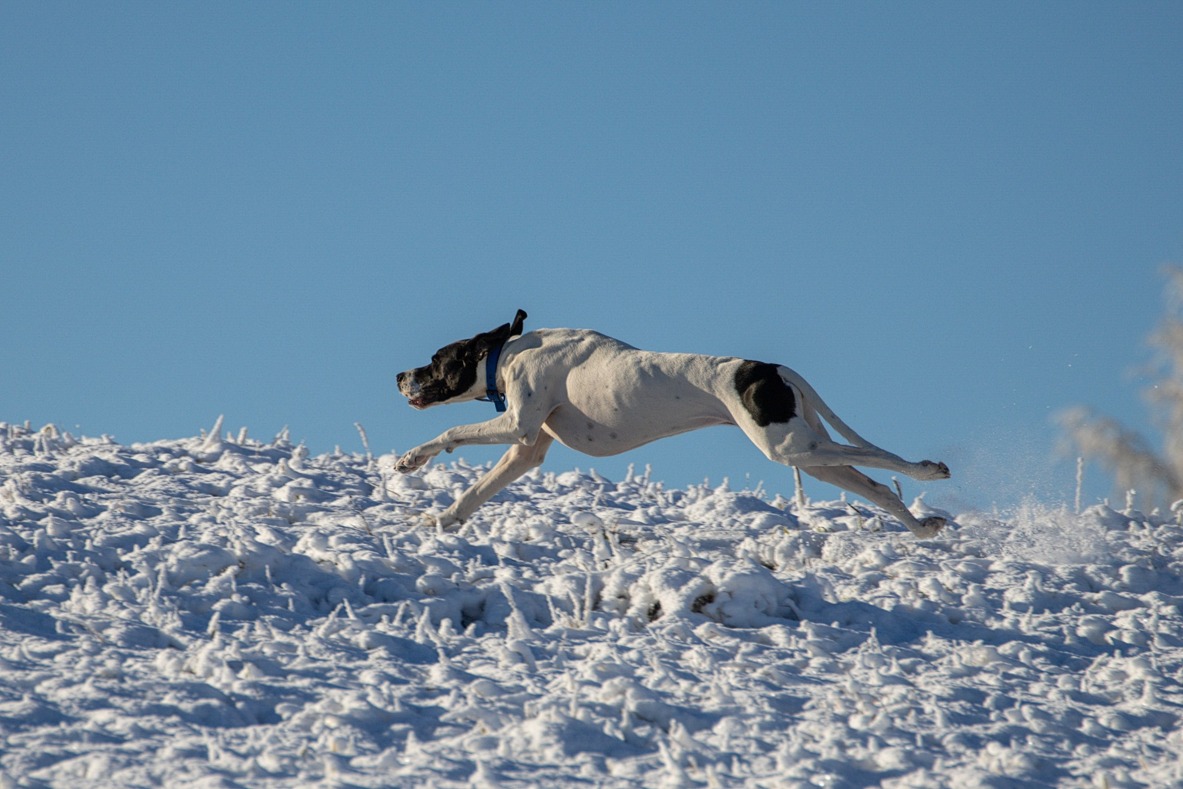 Lure Club 2025. Irenephoto.ru