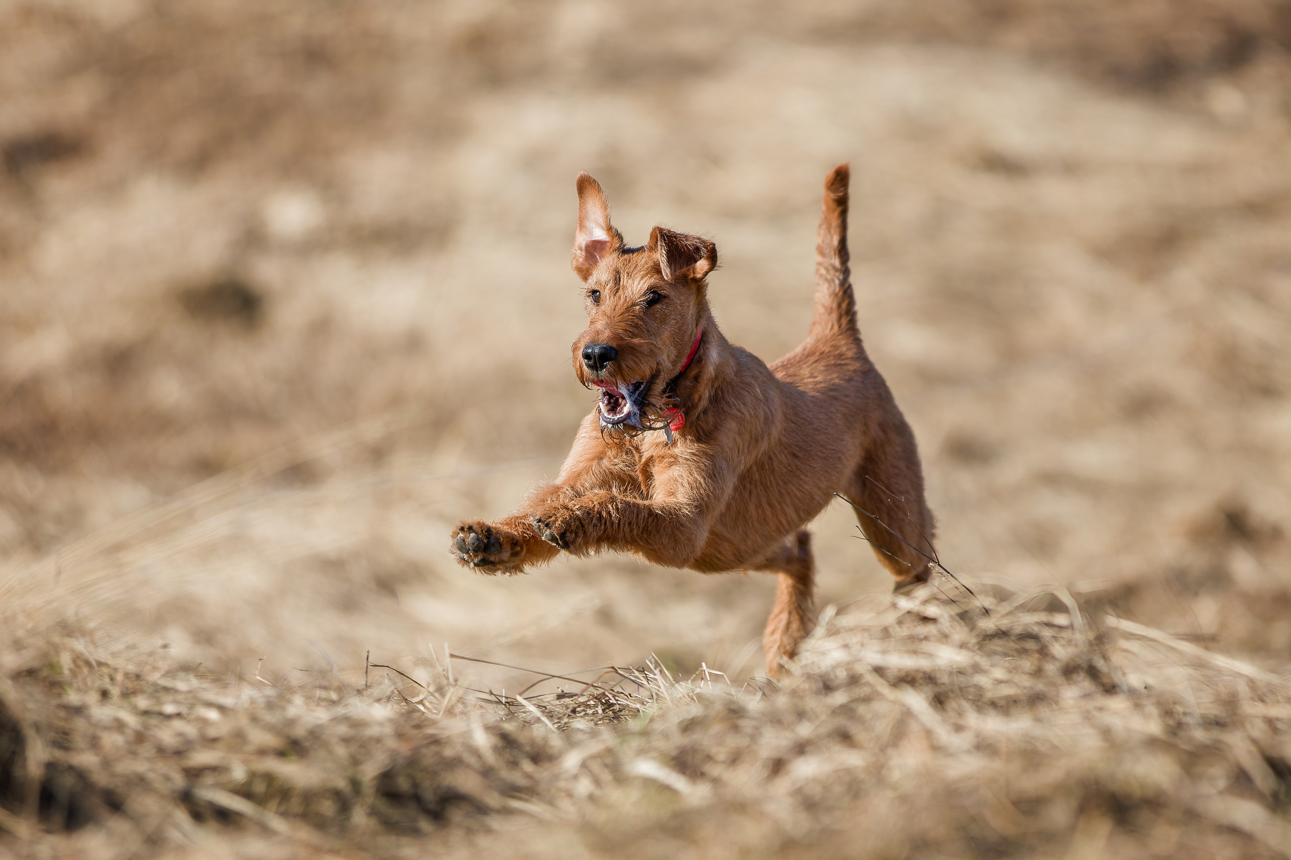 Lure Club 2026. Irenephoto.ru