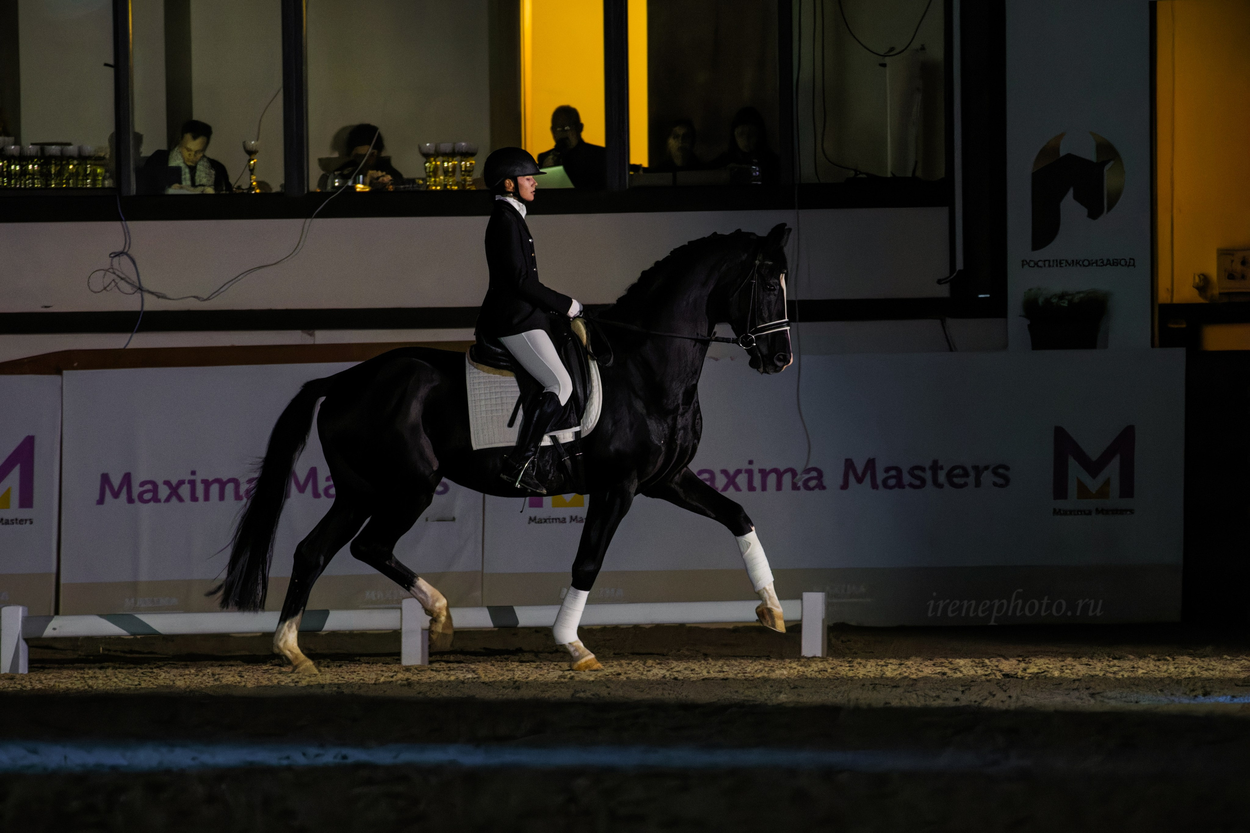 Конная Россия 2024. Irenephoto.ru